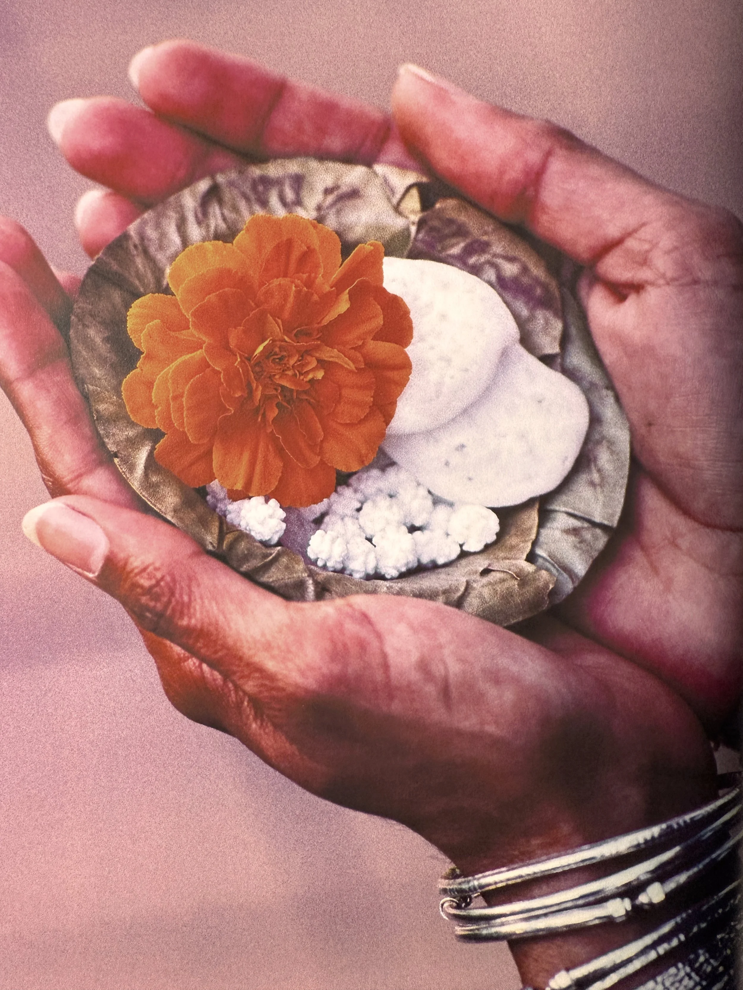 Hands holding a small offering of marigold flower and white items on a leaf plate. Bracelets visible on wrist.