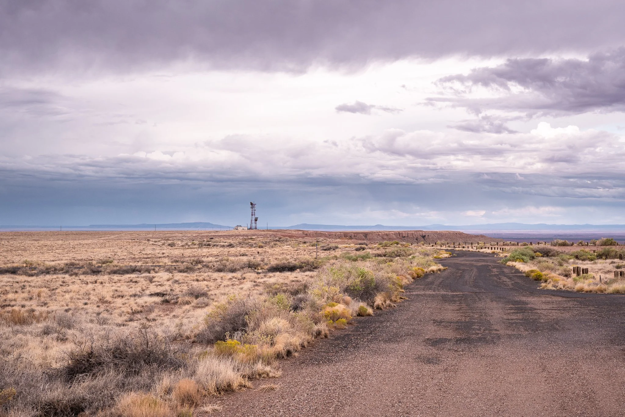 Arizona 2025 social-74.jpg