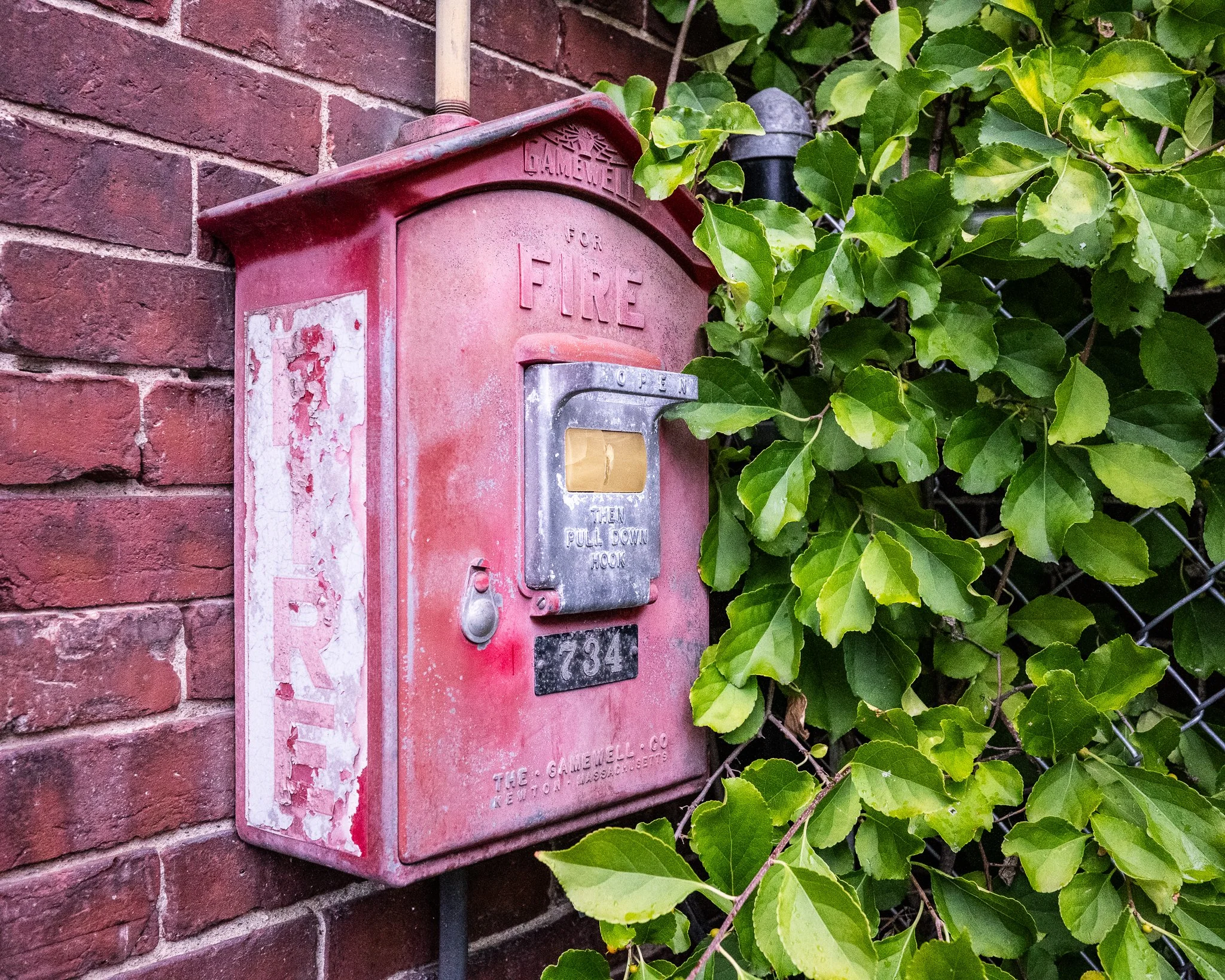 Random 2025 social-10.jpg