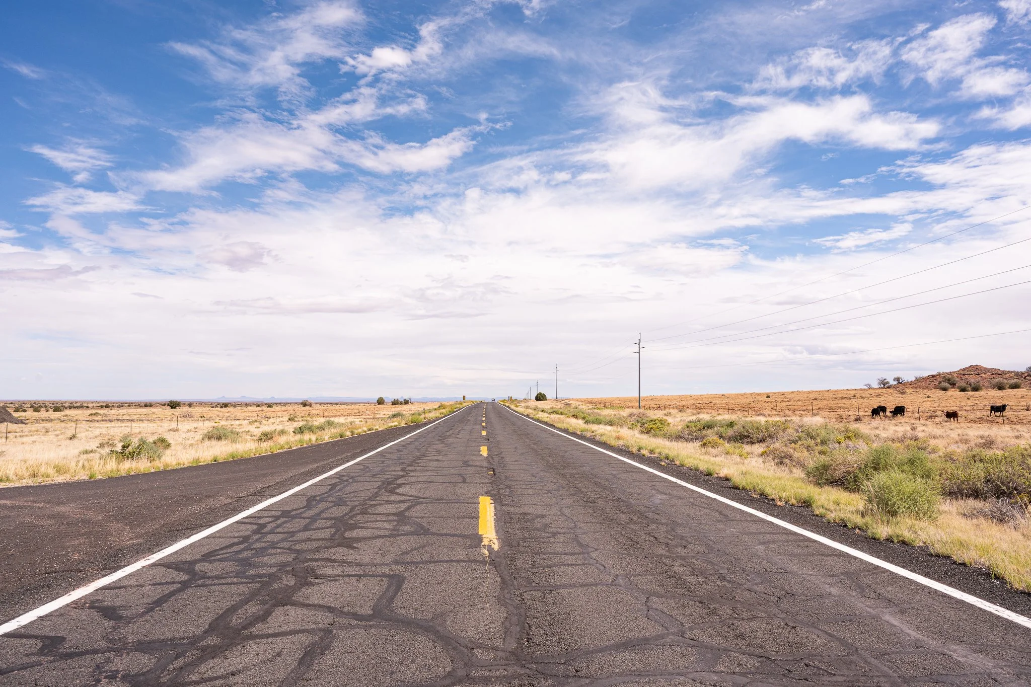 Arizona 2025 social-90.jpg