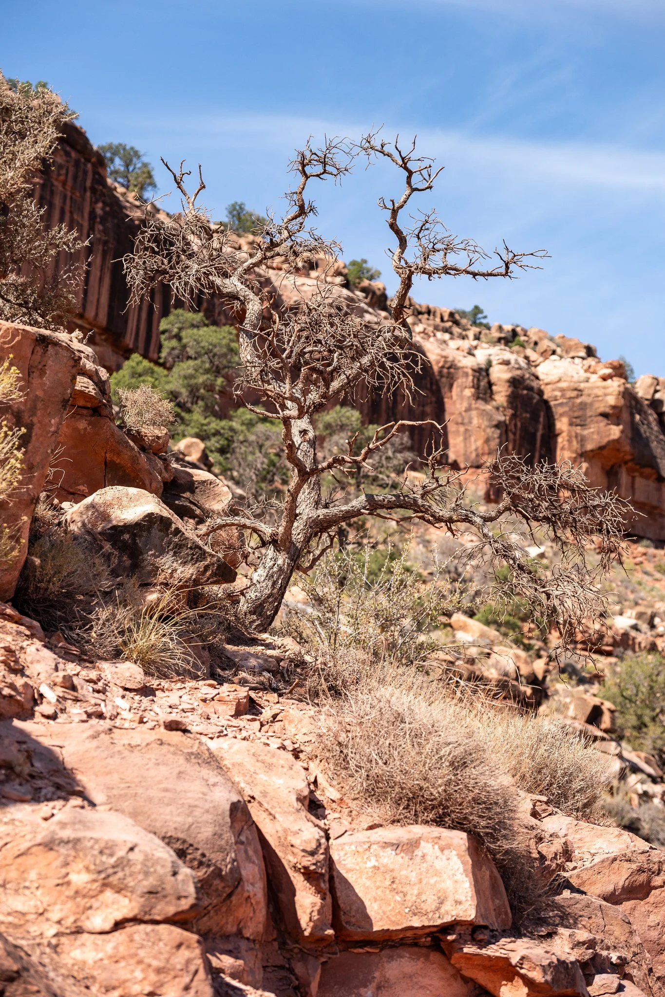 Arizona 2025 social-39.jpg