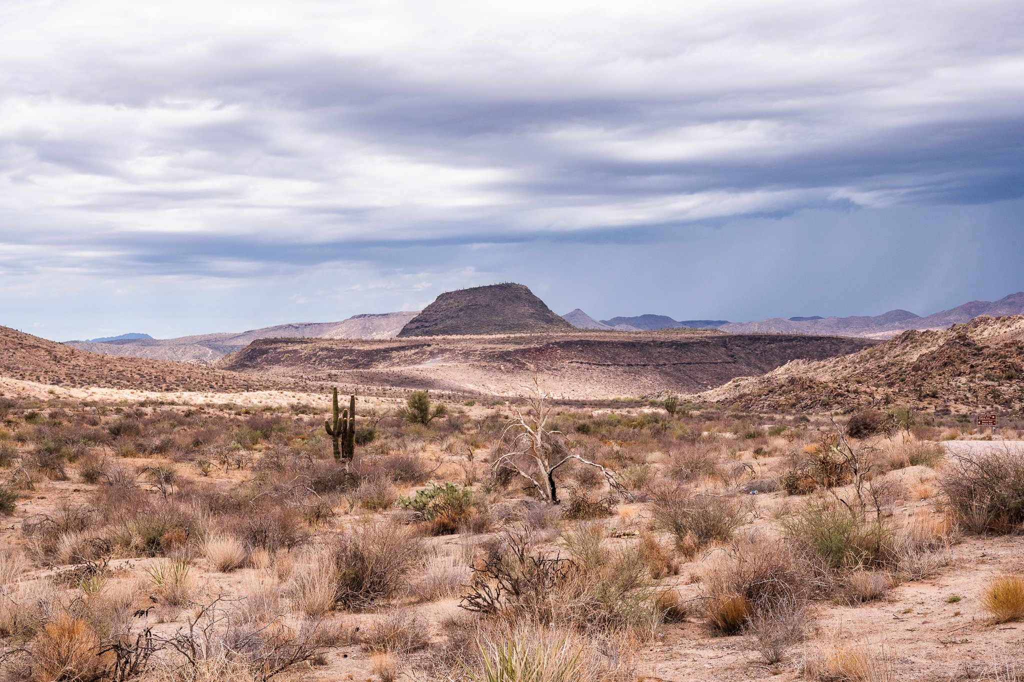 Arizona 2025 social-93.jpg