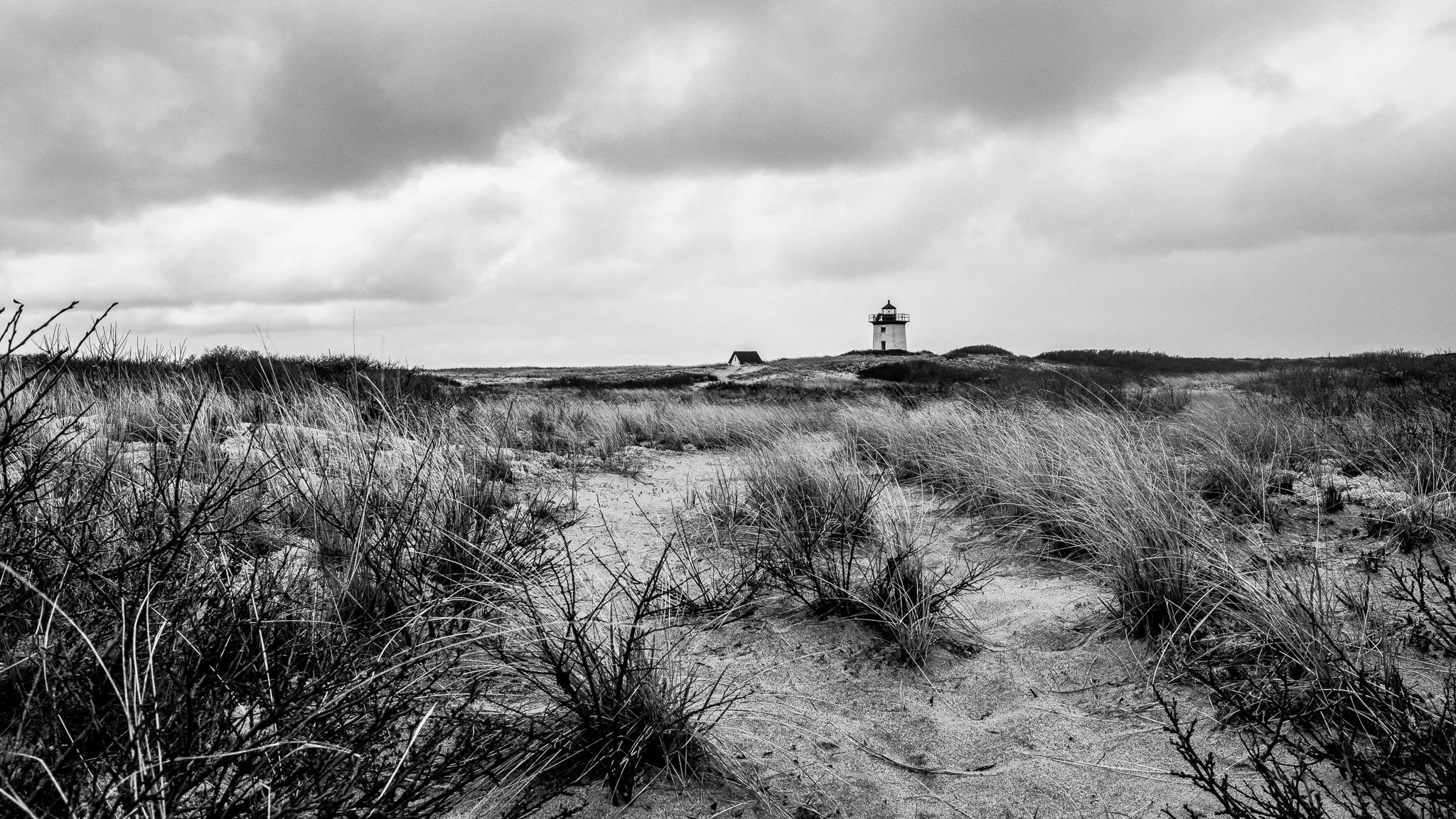 Provincetown-3.jpg