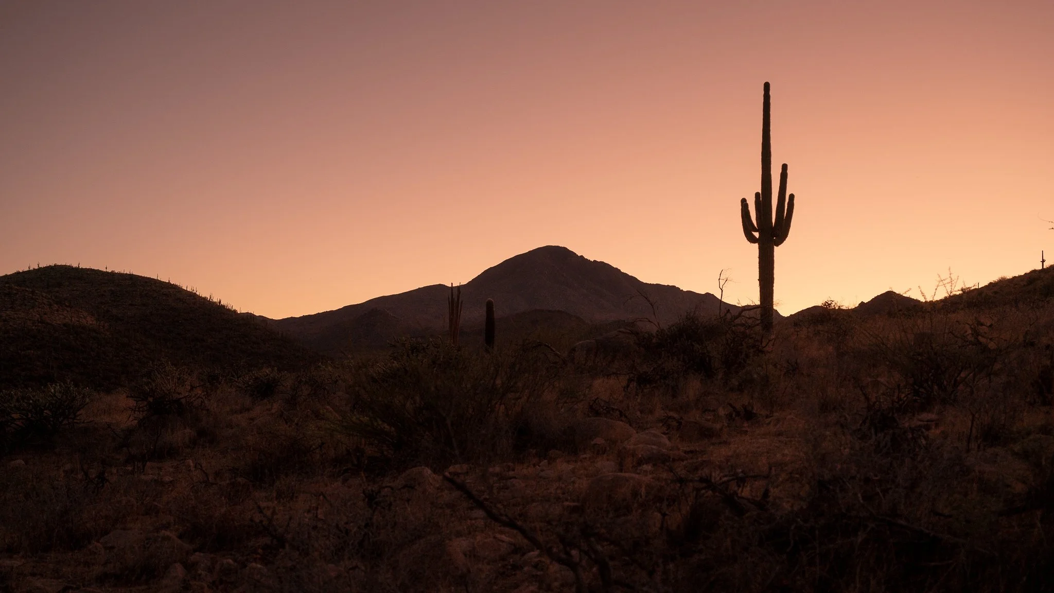 Arizona 2025 social-110.jpg