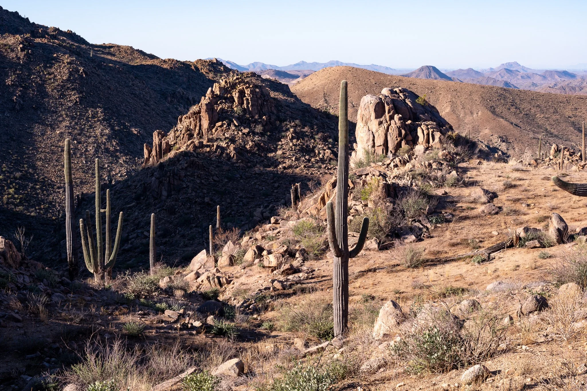 Arizona 2025 social-123.jpg