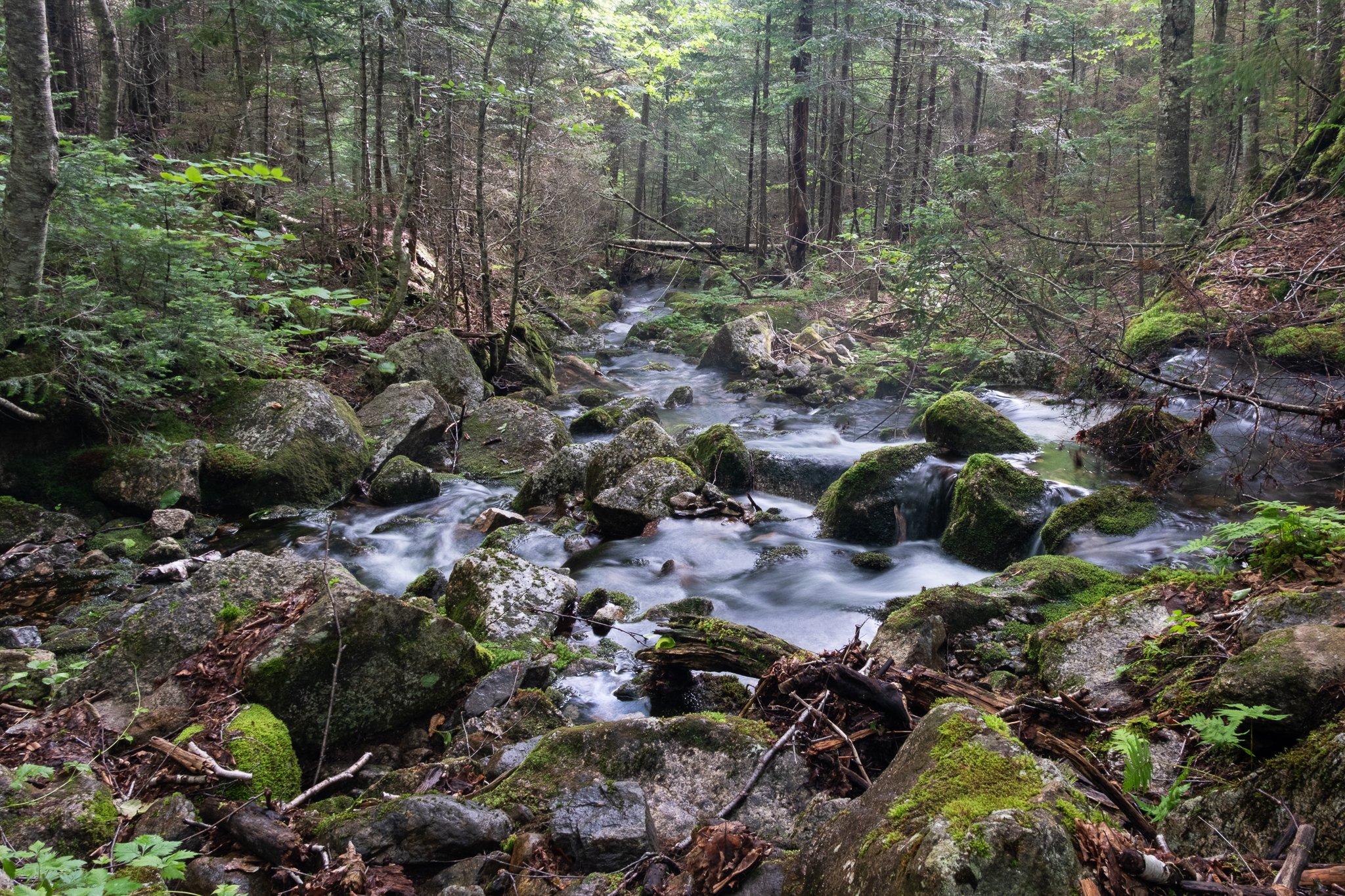 Sandwich and Jennings-10.jpg