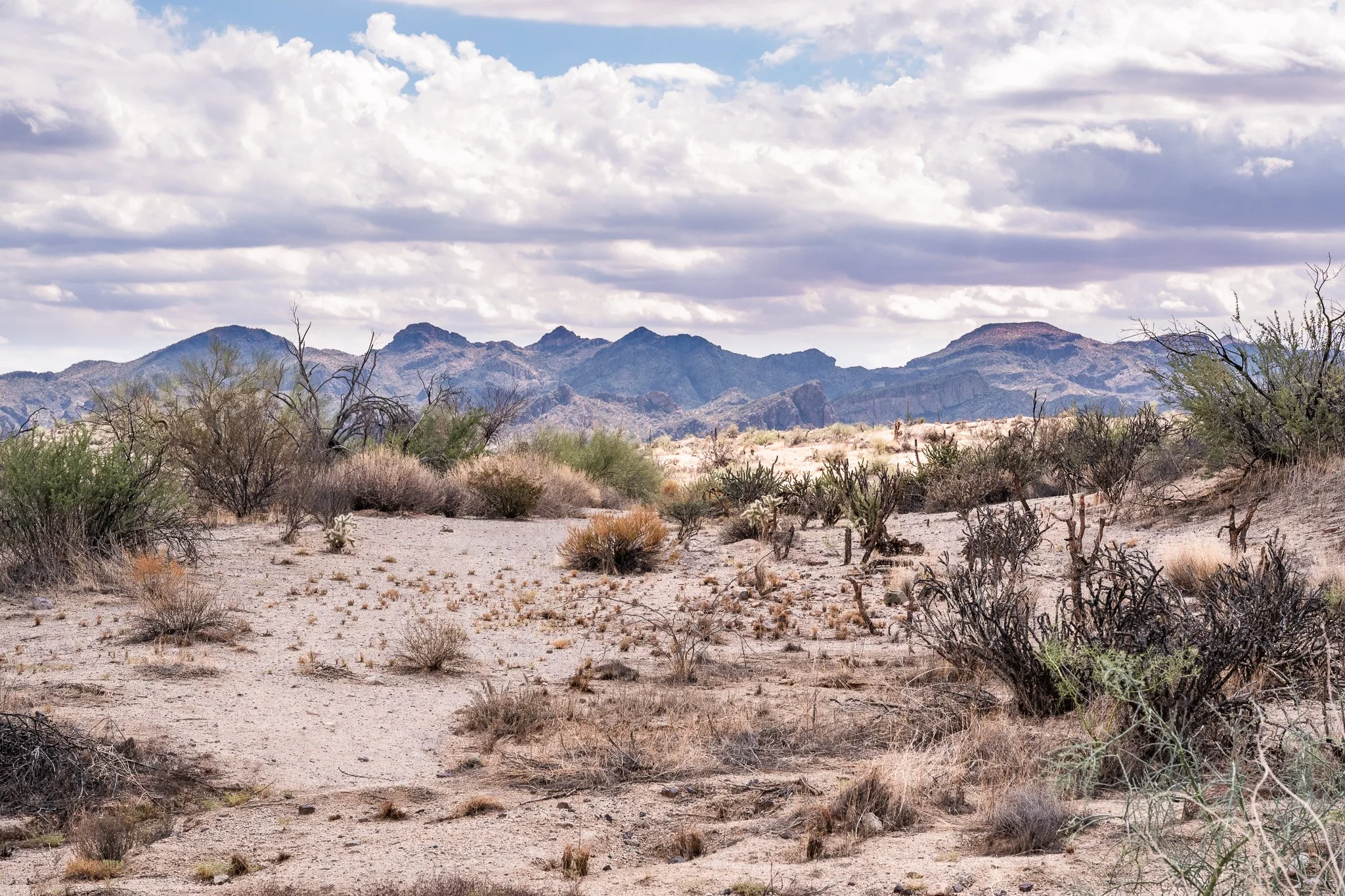 Arizona 2025 social-97.jpg