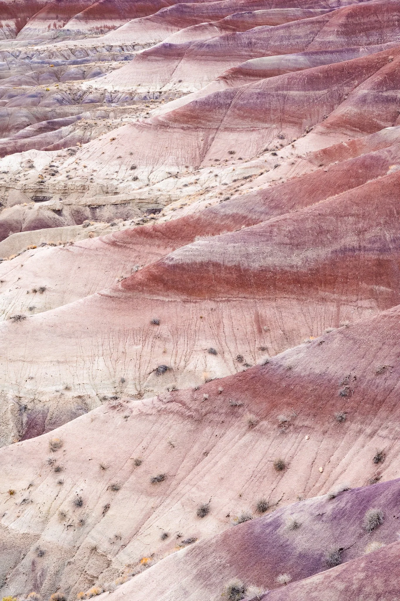 Arizona 2025 social-75.jpg