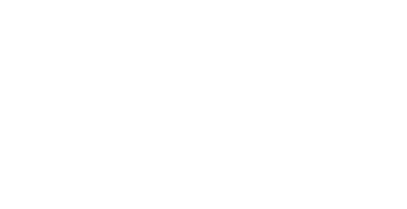 11 Zebras