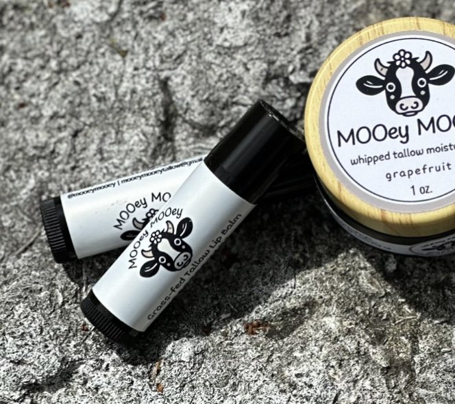 tallow lip balm.jpg