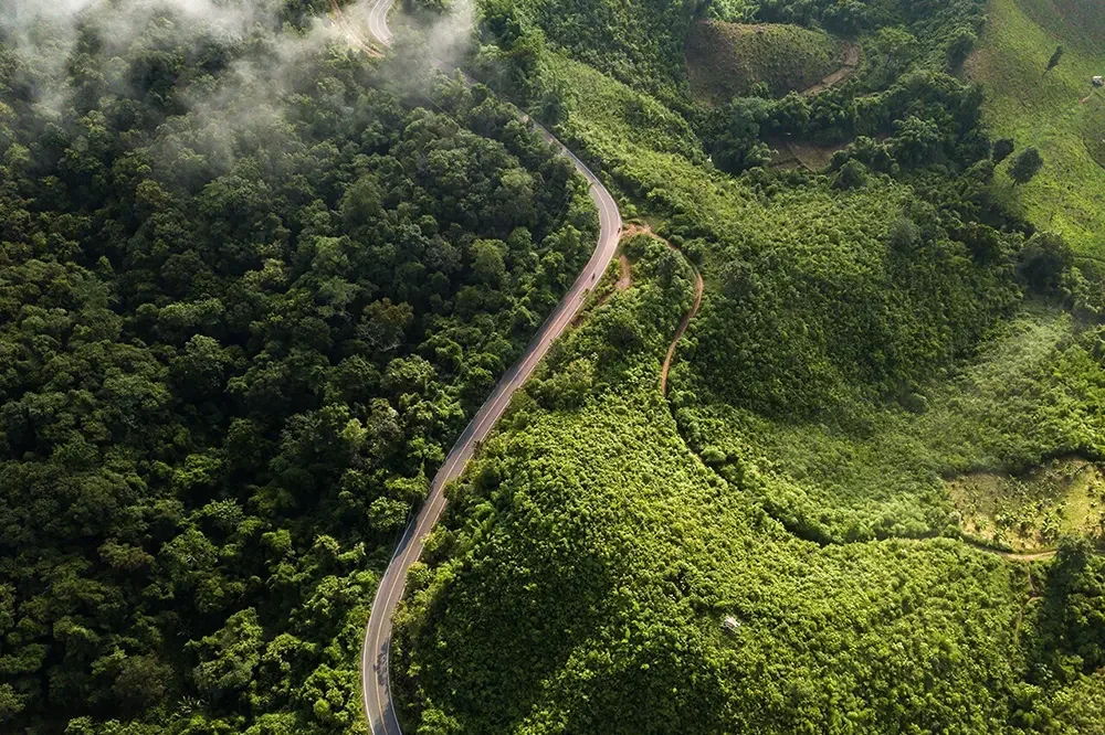 The Smart Investor’s Secret Weapon: Vacant Land