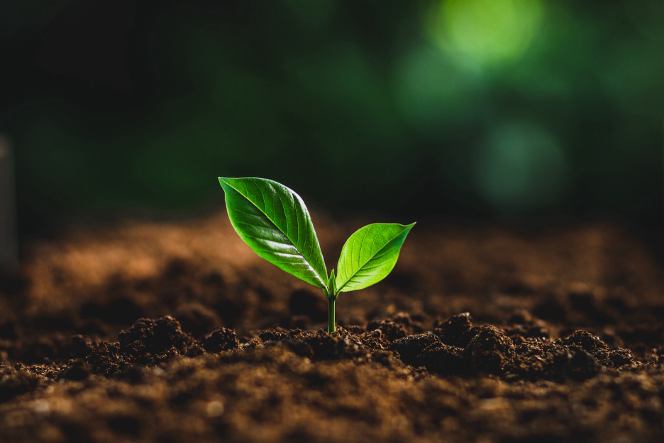 Why Sell Your Vacant Land to Good Soil Land?
