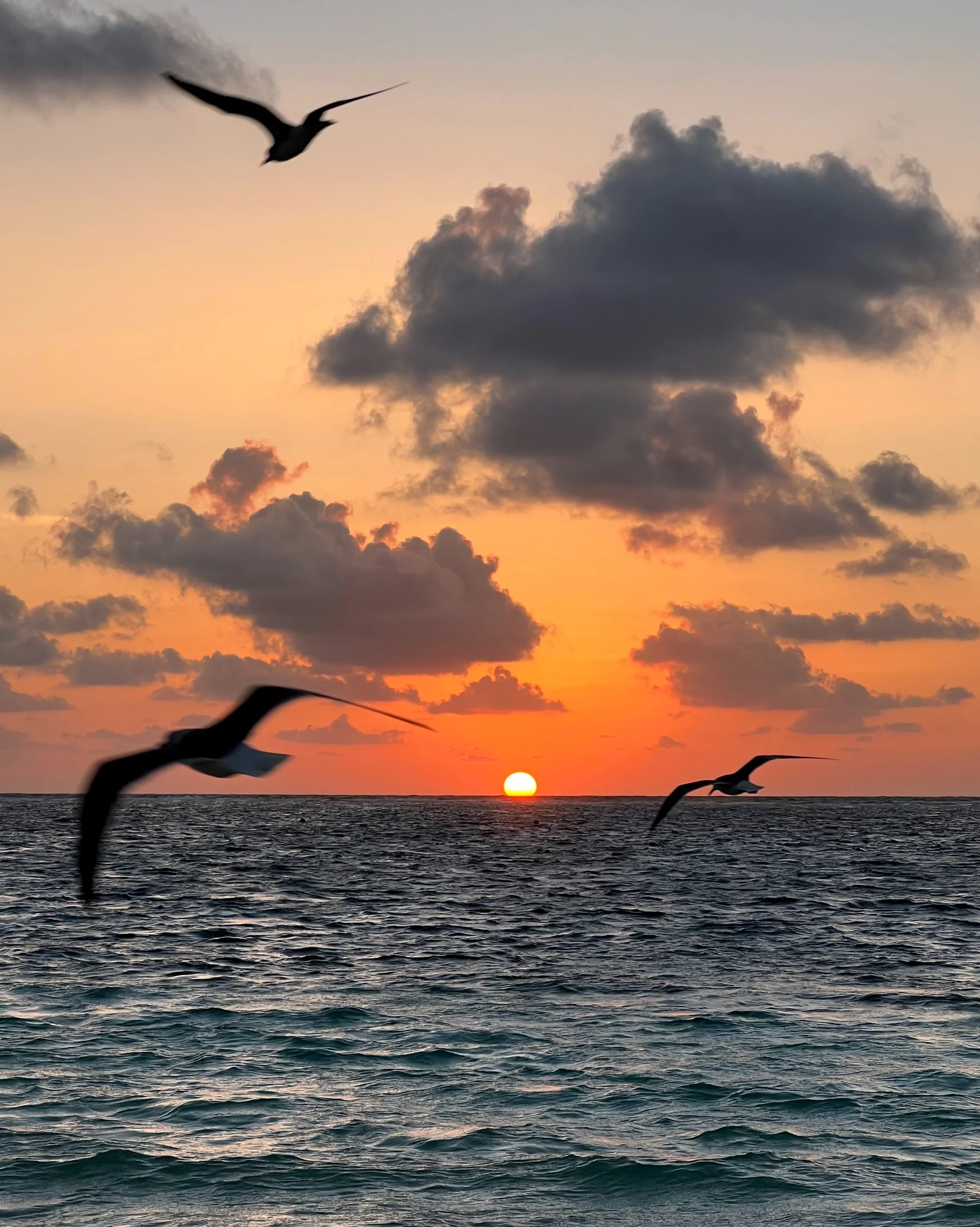FullSizeRender_VSCO 2.JPG