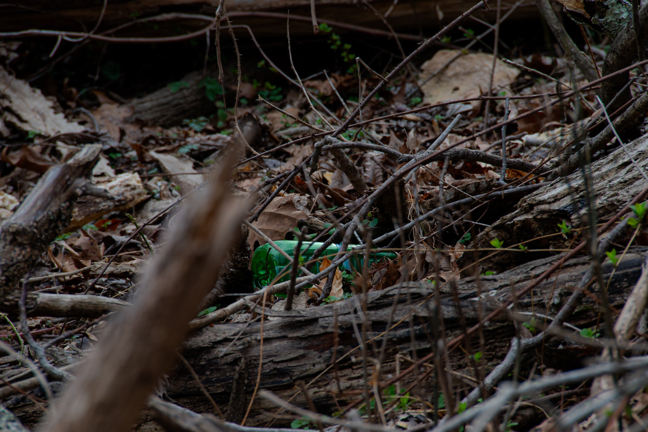 DSC_1054.jpg