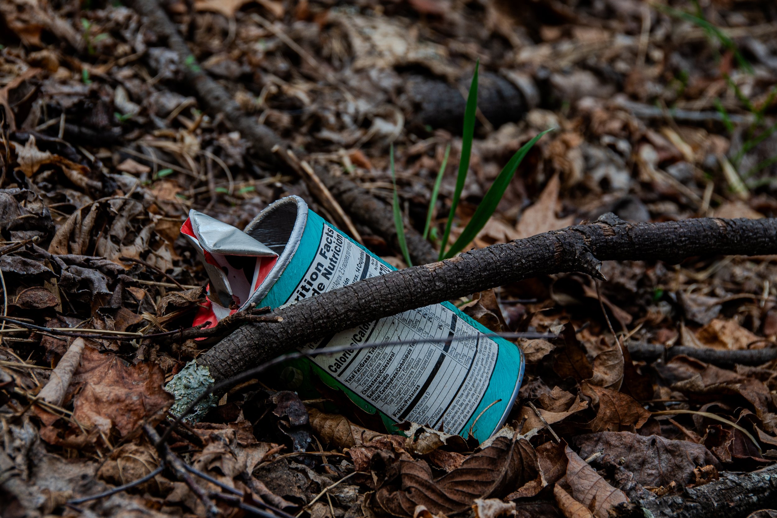 DSC_1059.jpg