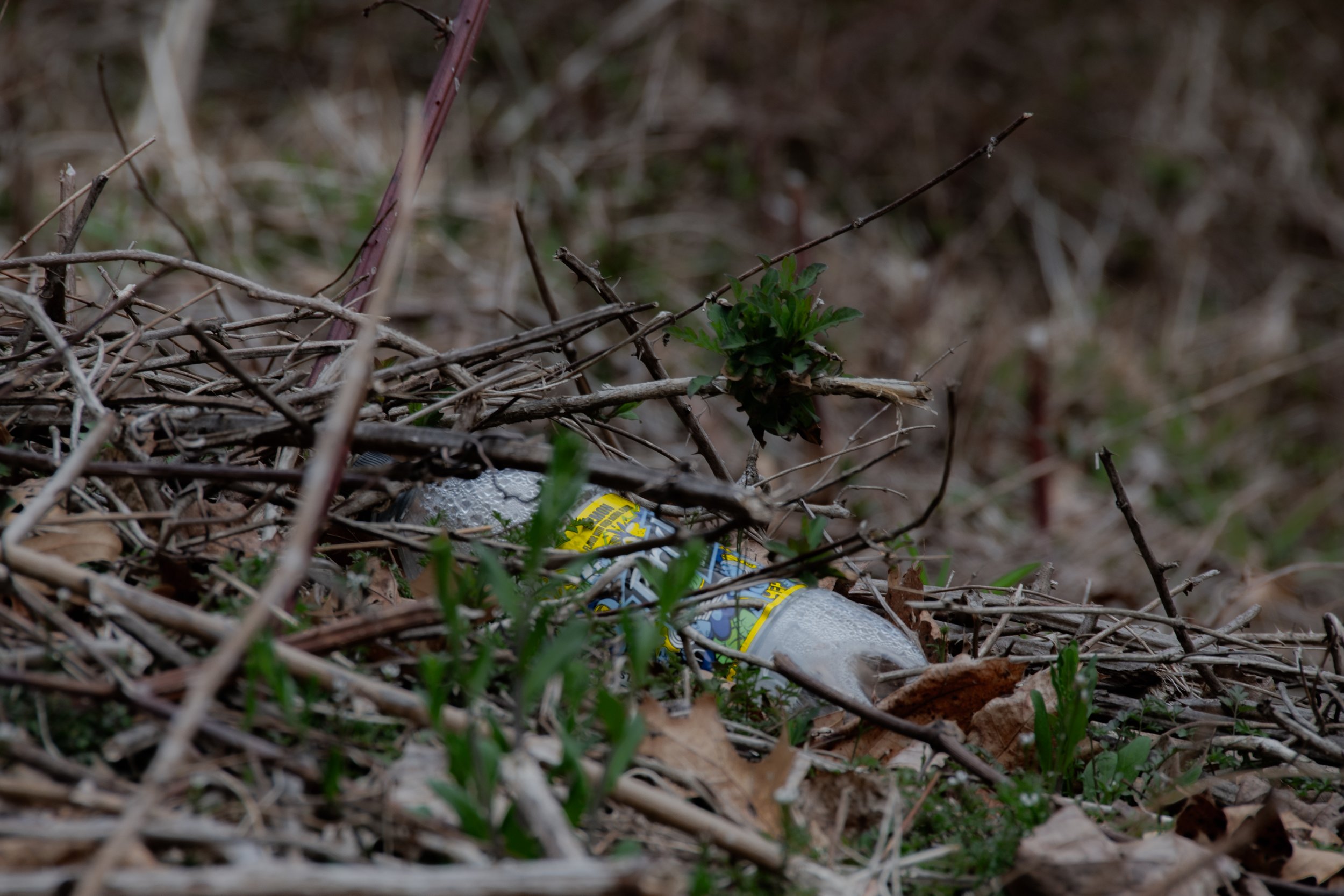 DSC_1037.jpg