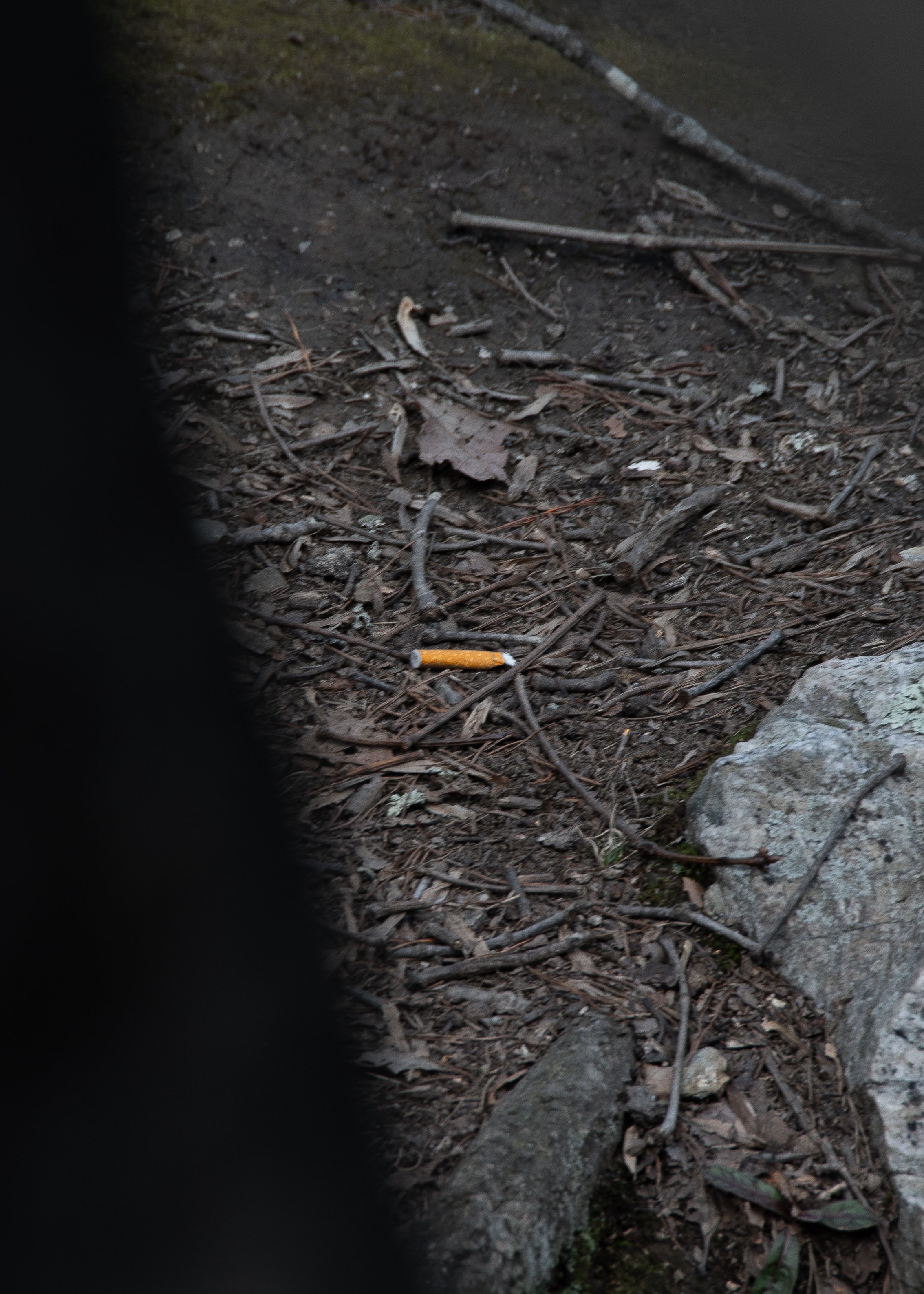 DSC_1022.jpg