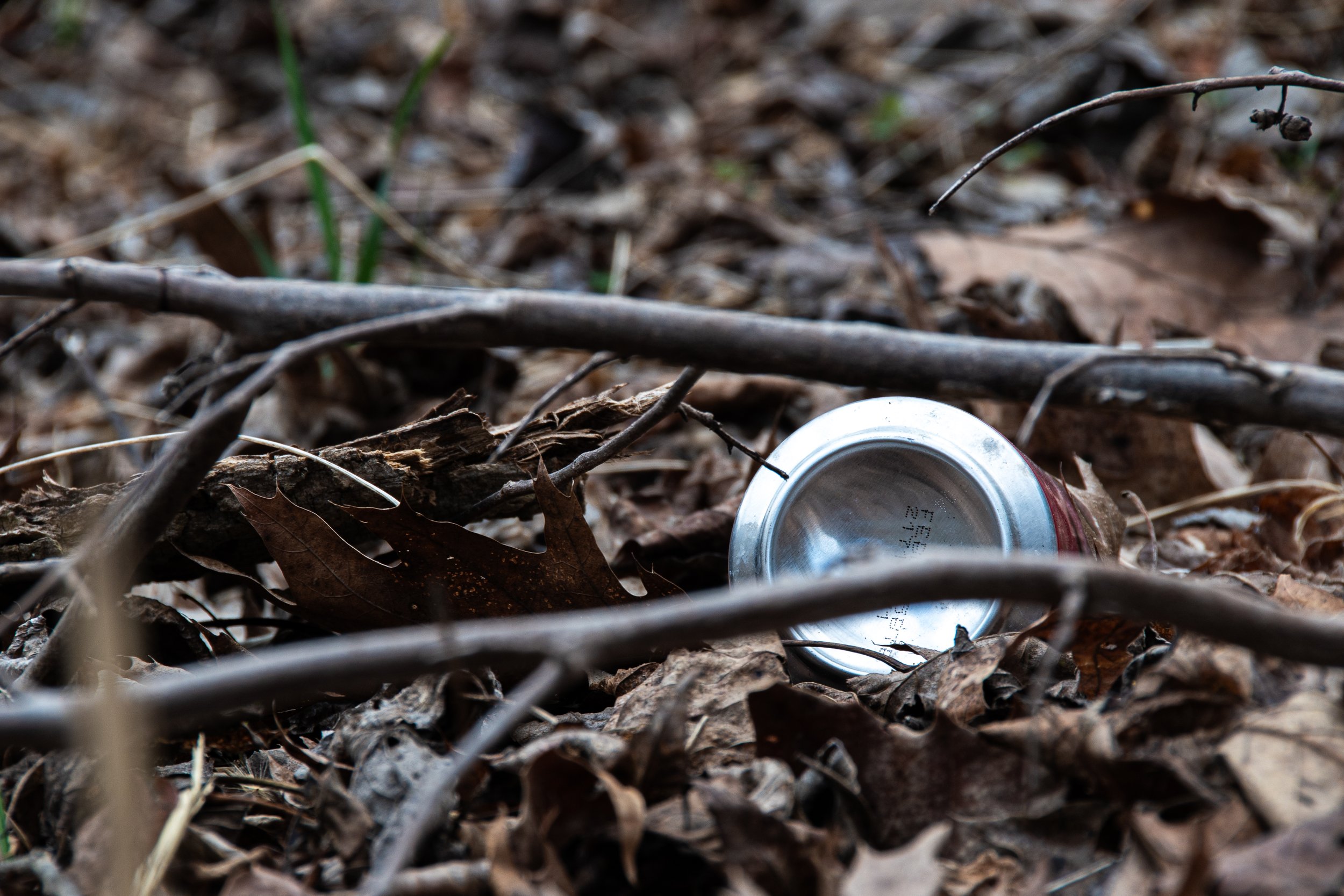 DSC_1053.jpg