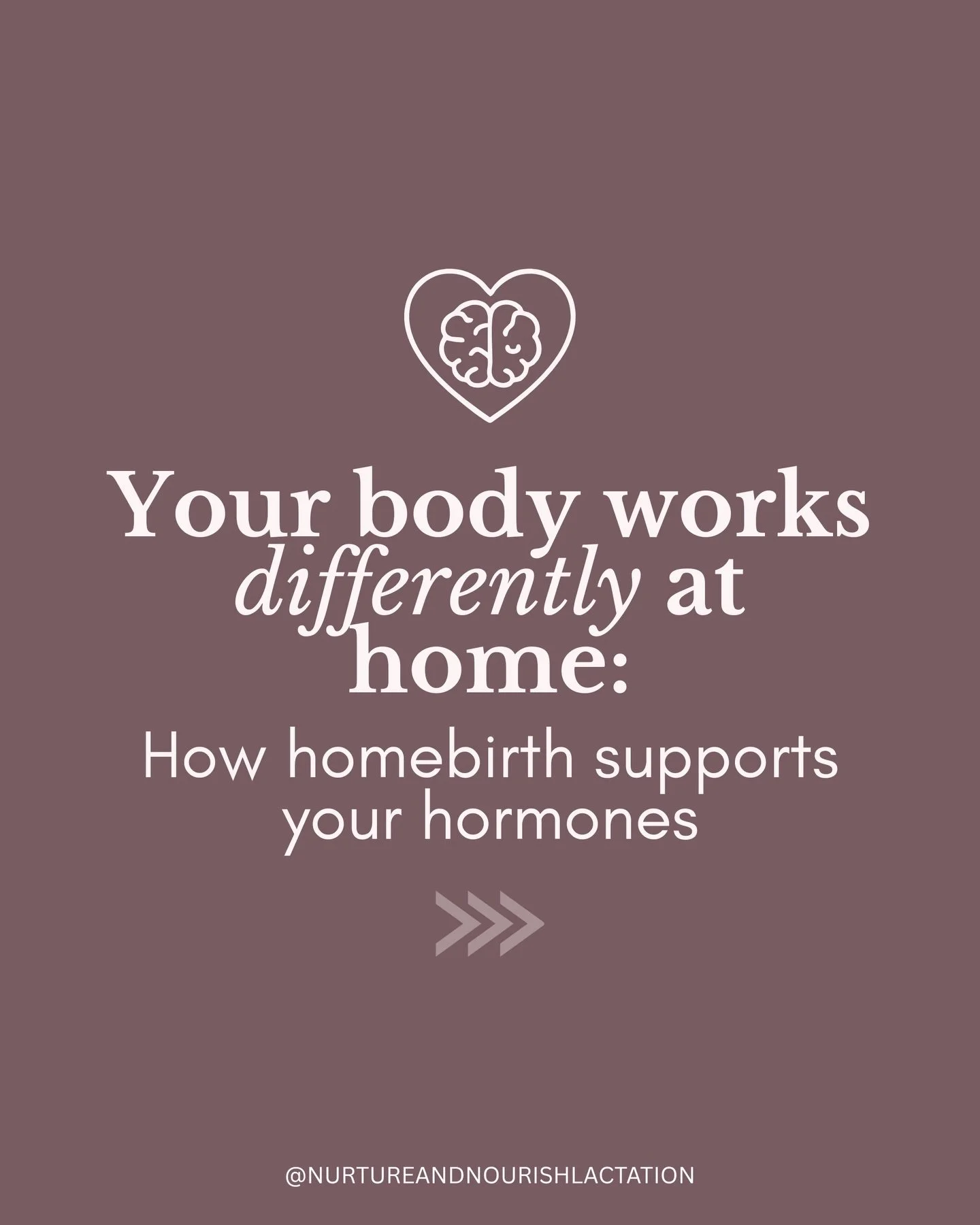 So many people think birth is all about strength or pain tolerance, but honestly, it&rsquo;s more about hormones and environment.

When a birthing Mama feels safe, supported and like her privacy is guaranteed and respected, her body is more likely to