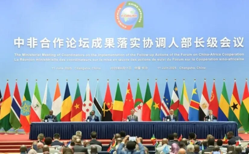 China and Africa Just Took Things to the Next Level