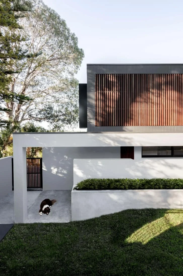 Modern white house with black and wooden accents, surrounded by green grass and trees, with a black and white dog on a concrete porch.