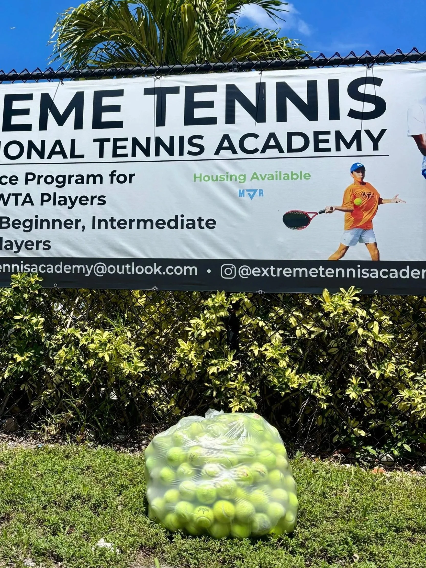 A bag of tennis balls for BounceBackBalls on grass in front of a chain-link fence and a banner advertising a tennis academy, with a blue sky and palm trees in the background.