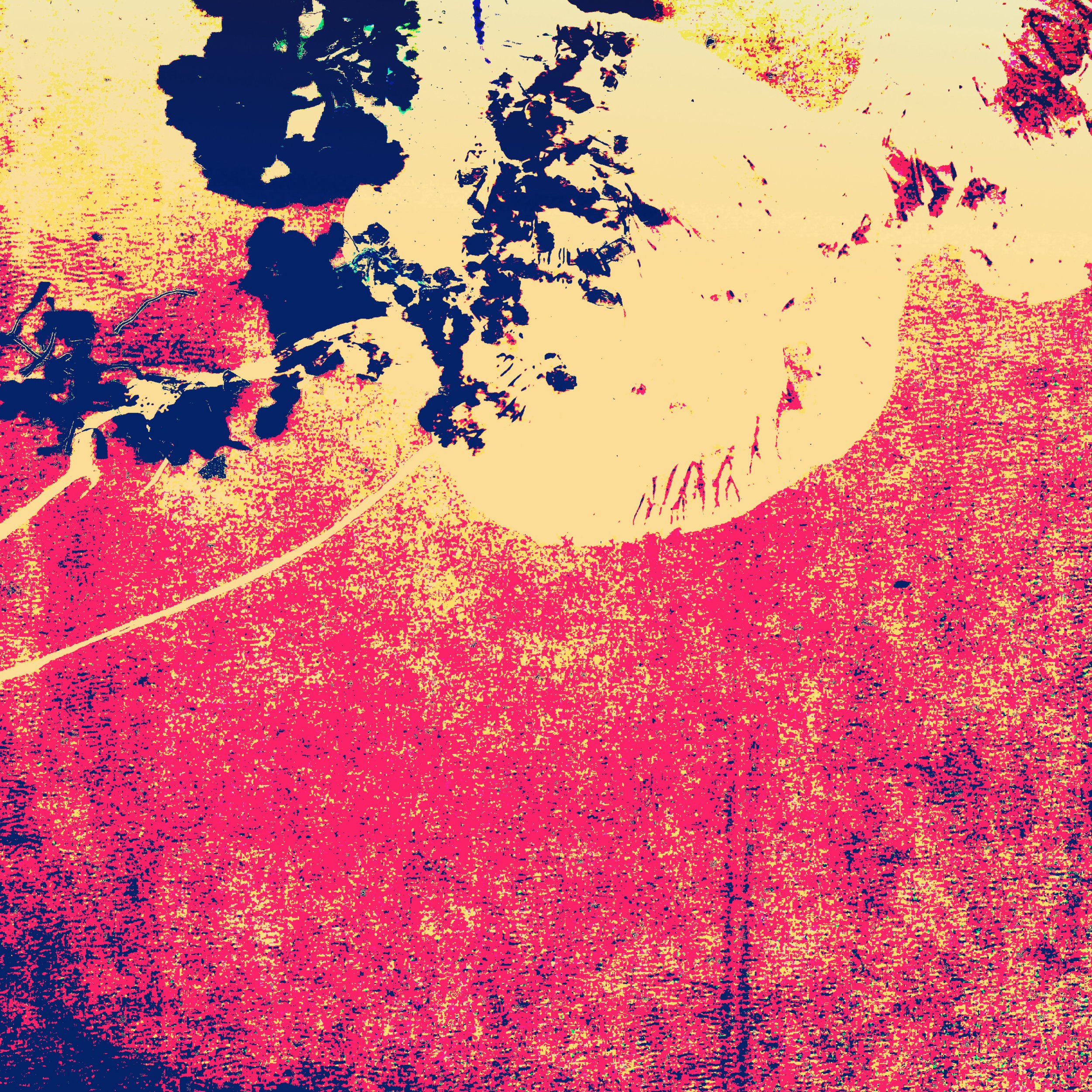 Birds of flight-Aazam Irilian-detail1-abstract art-36X24%22.png.jpg