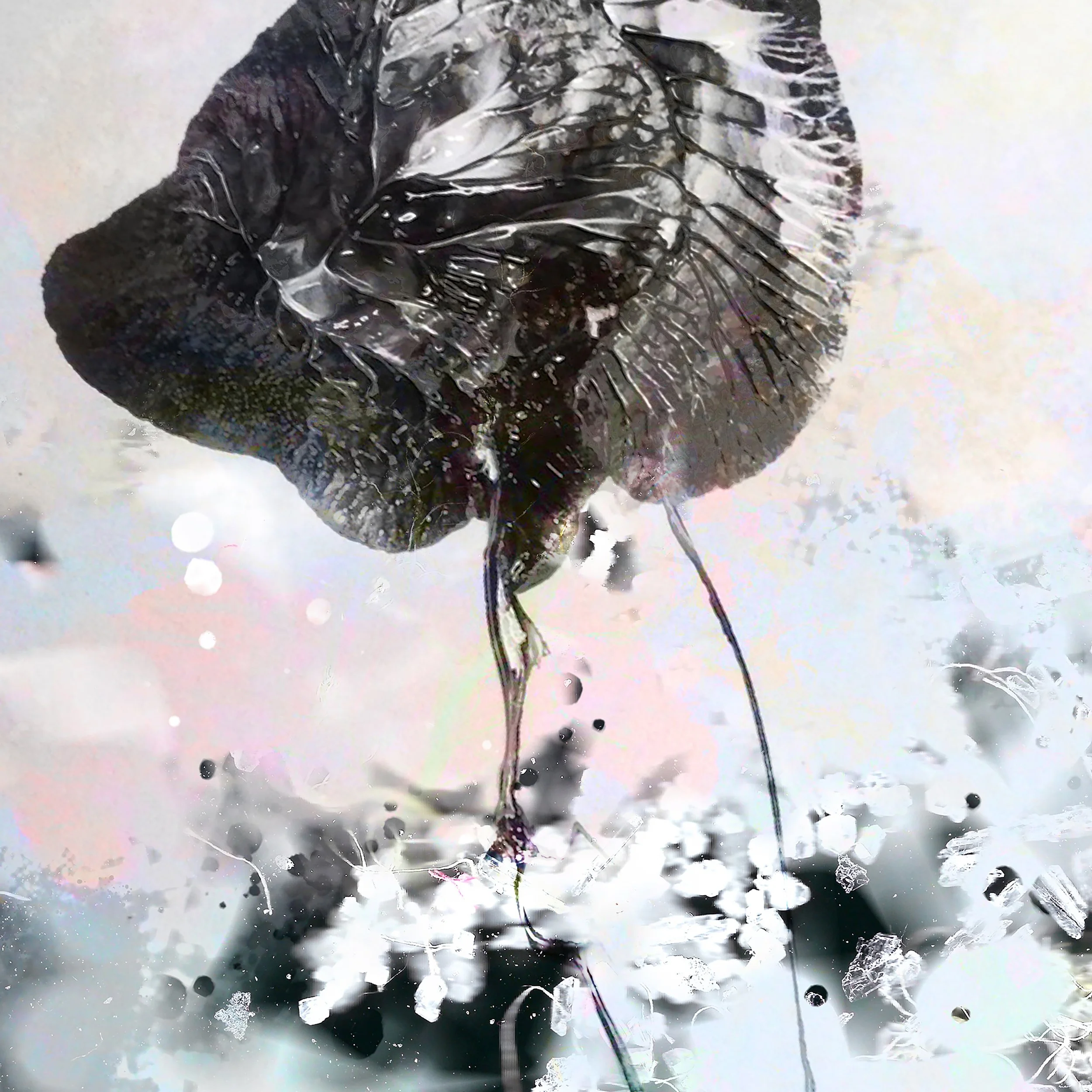 Daydream-Aazam Irilian-detail-abstract art-36X24".png.jpg