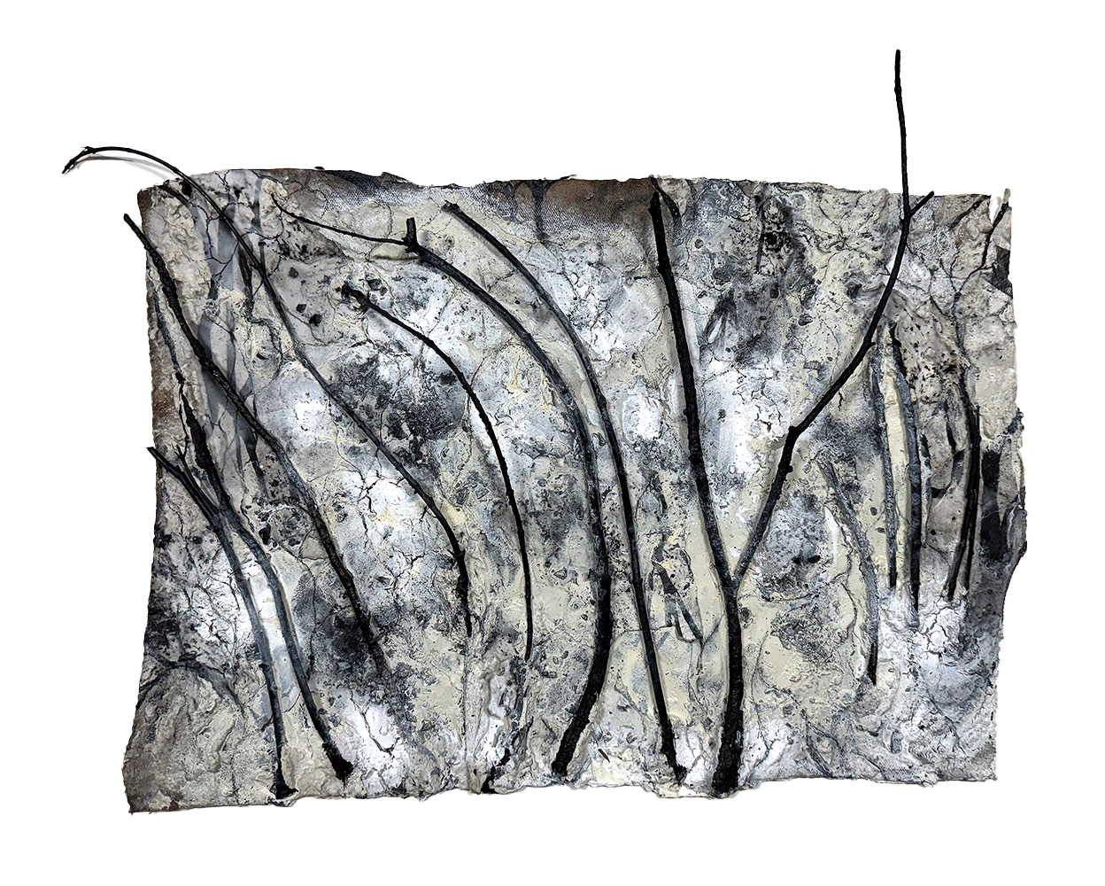 Katherine Filice  I  Burnt Scar No. 4  I  Ink, paper, branches, stucco, on buried canvas  I  22 x 28 x 2.5 in