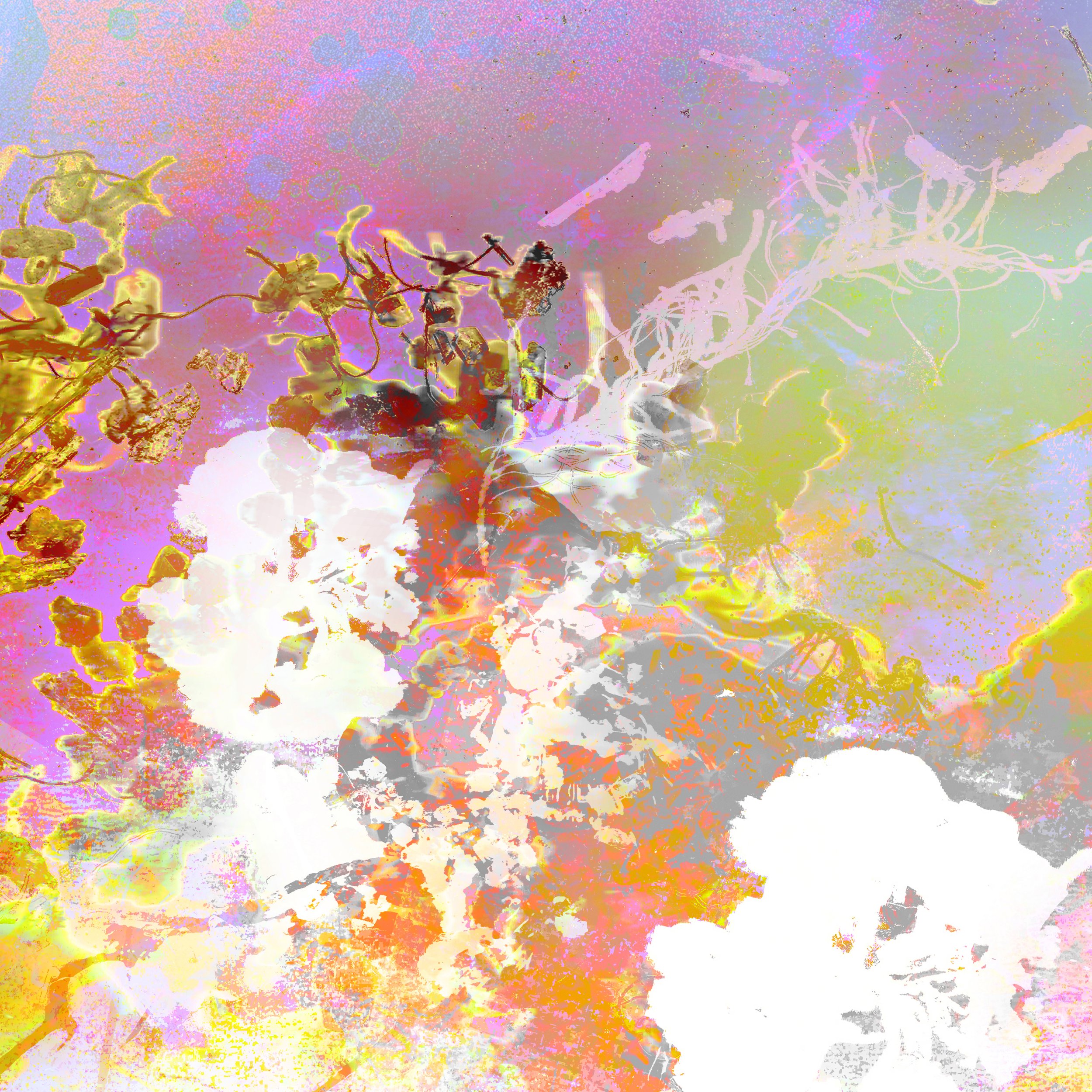 New Life2-Aazam Irilian-detail2-abstract art-36X24".png.jpg
