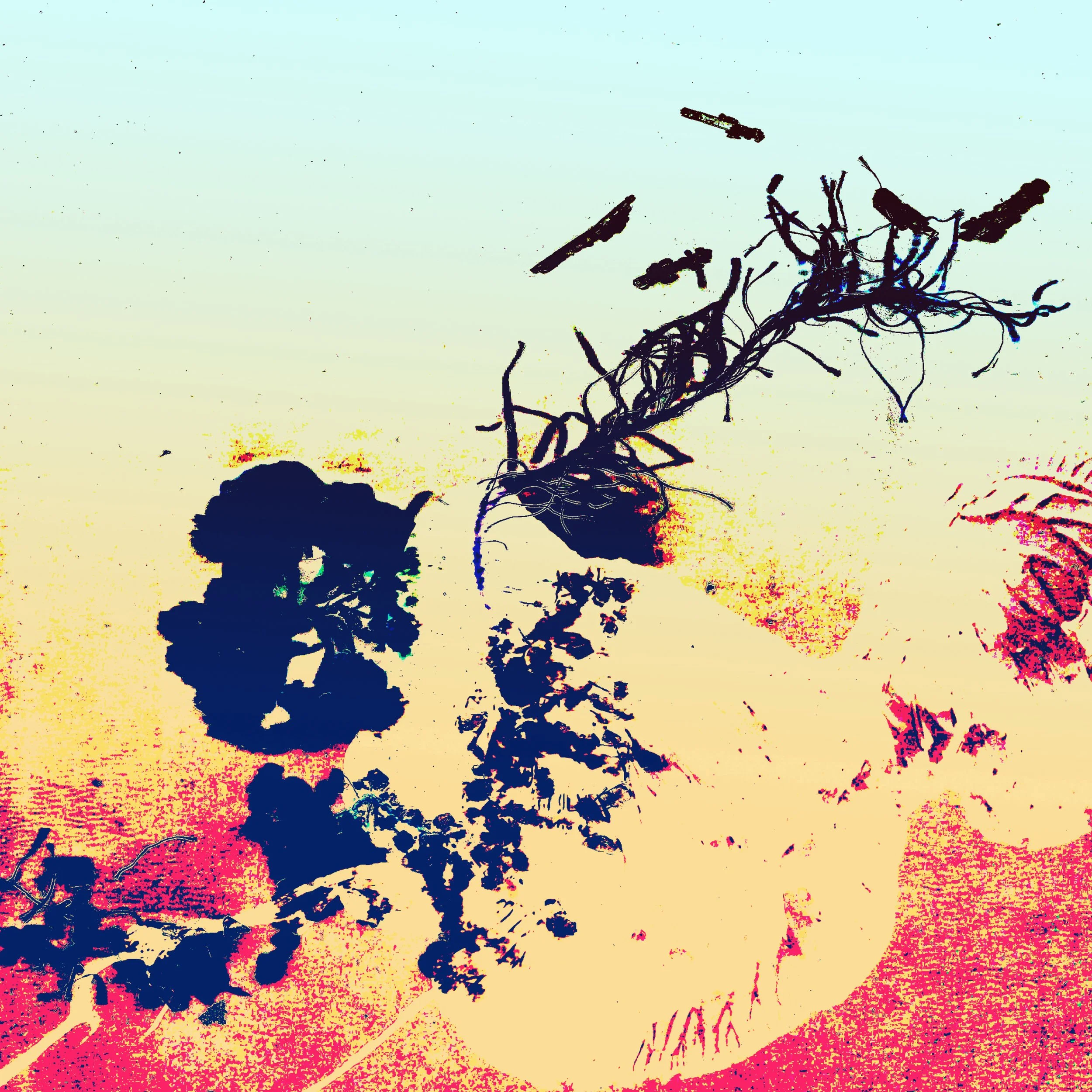 Birds of flight-Aazam Irilian-detail-abstract art-36X24%22.png.jpg