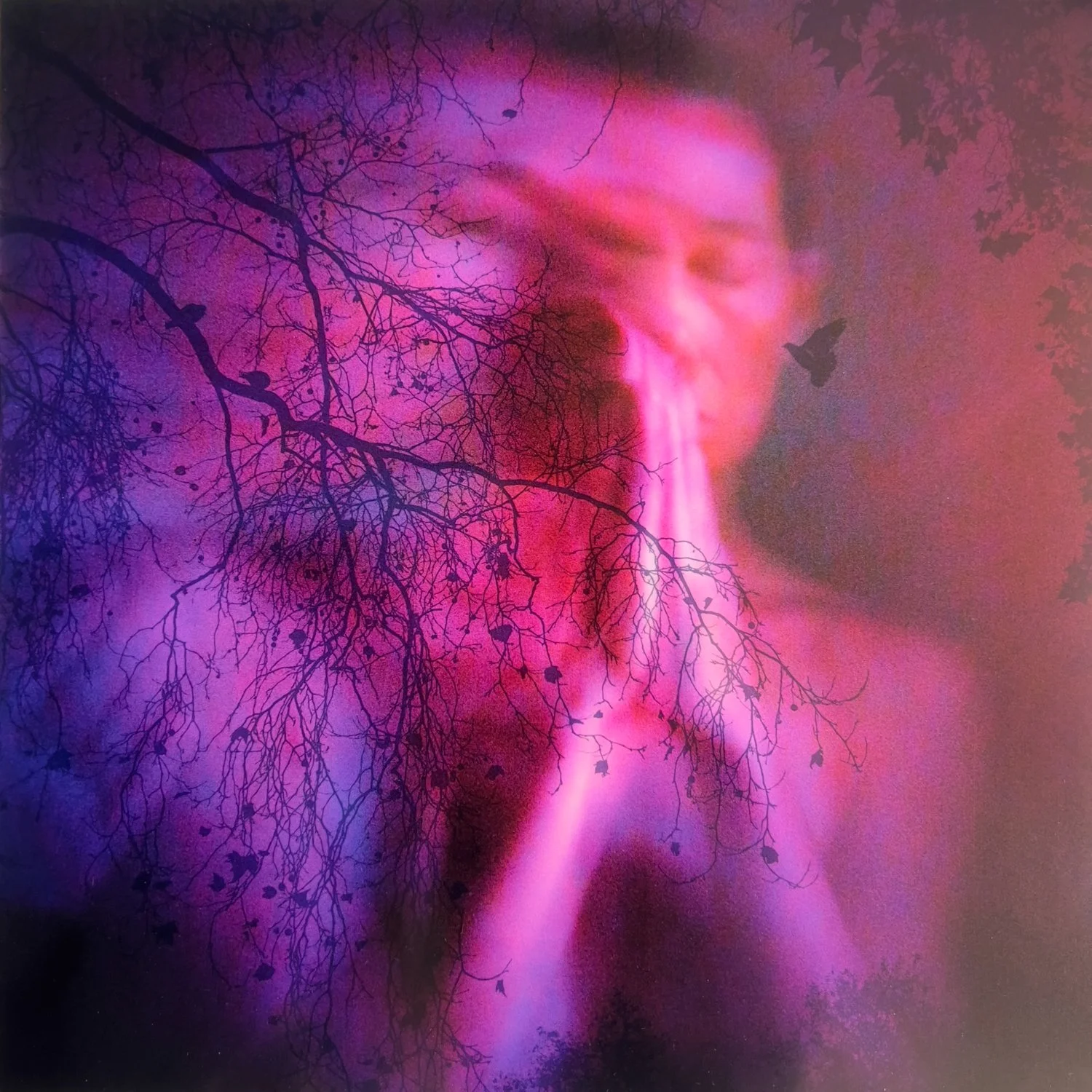 Ellen Friedlander  I  Whispers to the Self  I  Mixed Media  I  26 x 20.75 x 1.25 in