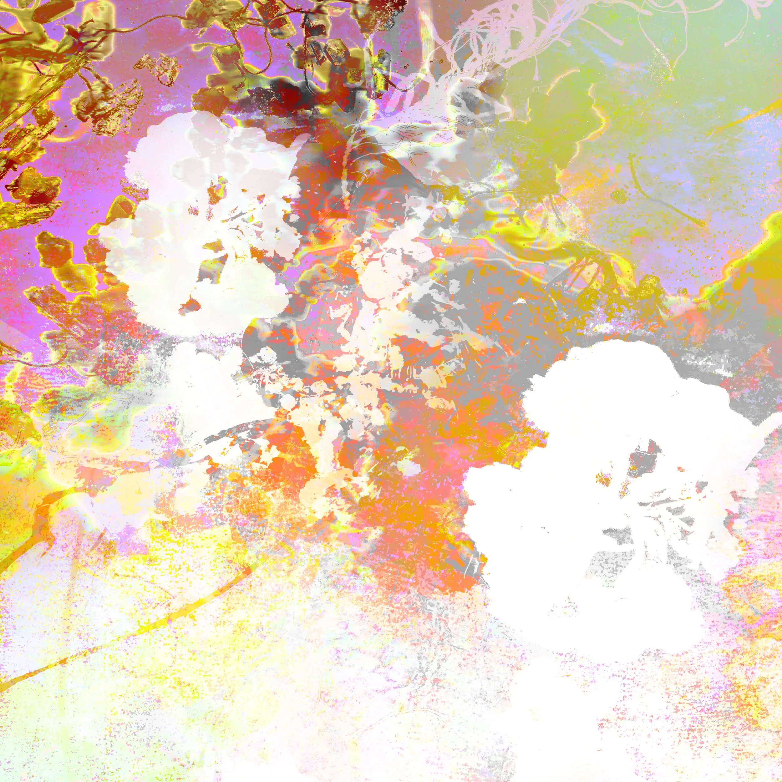 New Life2-Aazam Irilian-detail-abstract art-36X24".png.jpg