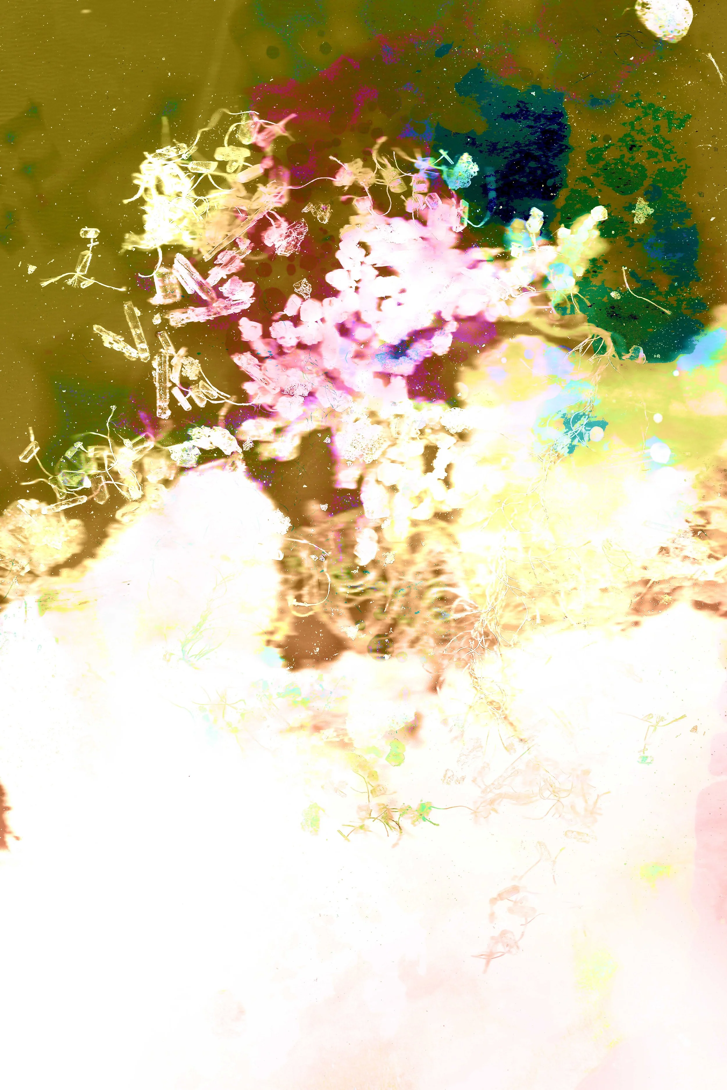 In Birth