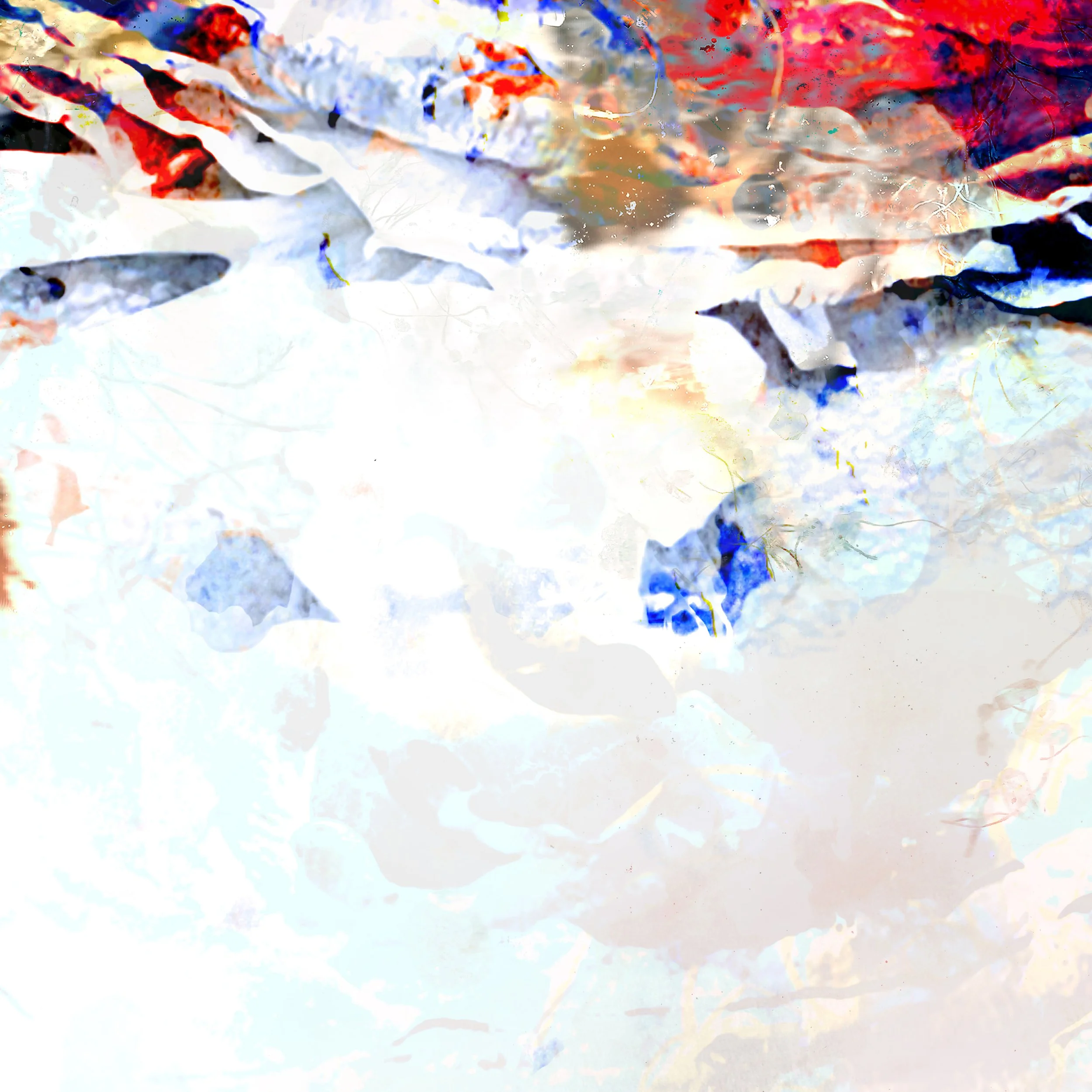 Floating petals-Aazam Irilian-detail-abstract art-36X24%22.png.jpg
