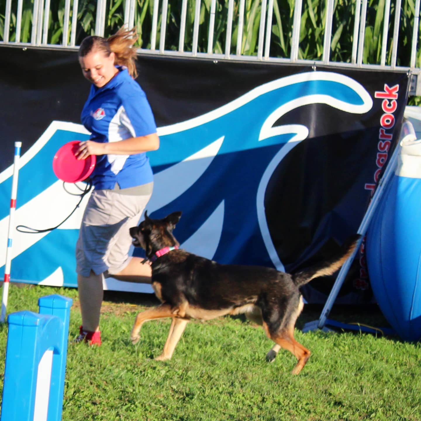 A woman in a blue shirt and beige shorts holding a pink frisbee, jumping over a grass field as a black and brown dog leaps at her, with a large blue and black banner in the background.