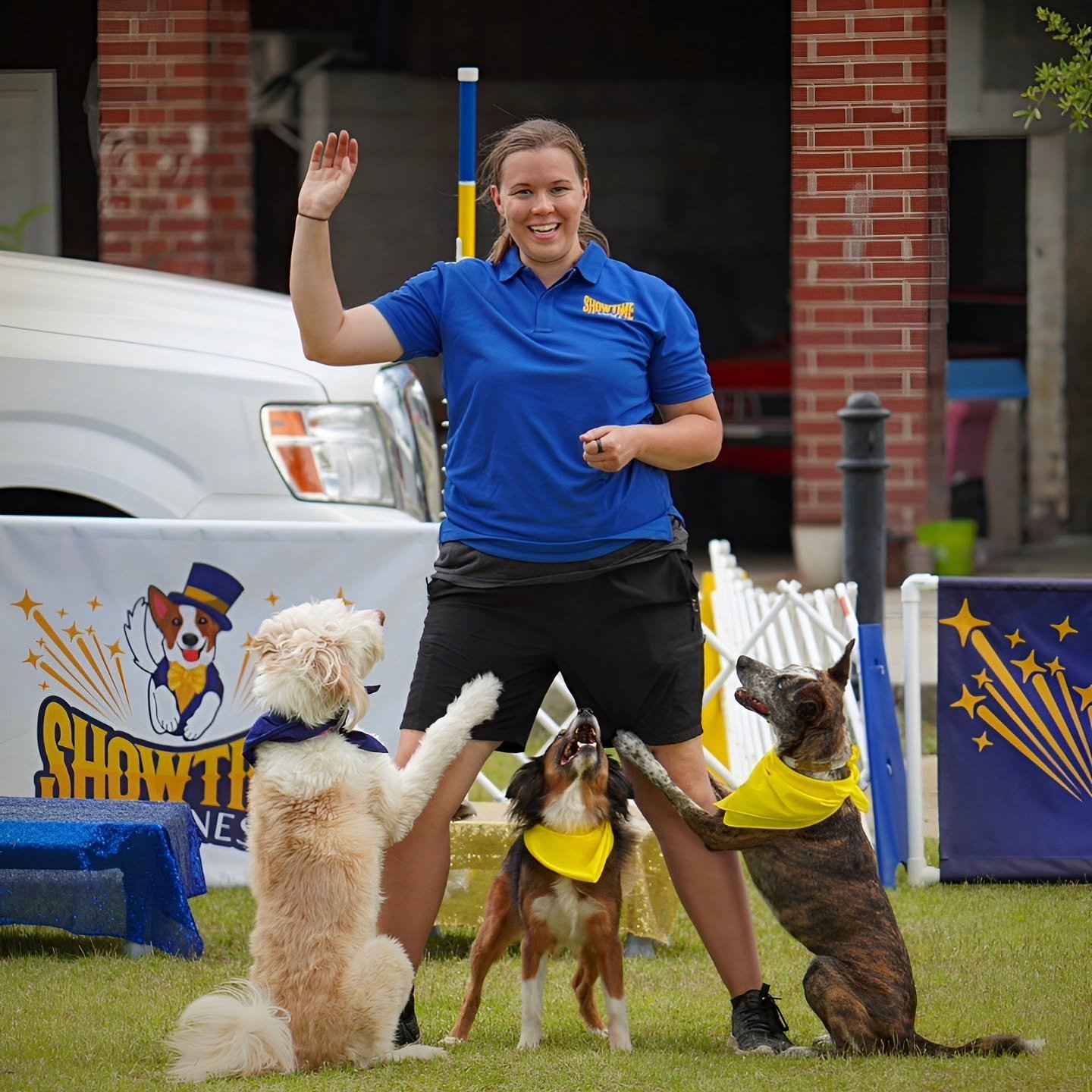 A person wearing a blue shirt and black shorts is training three dogs wearing bandanas. The dogs are posing with the person, who is smiling and raising one hand. The background includes a white vehicle, a banner with a dog illustration, and a fence.