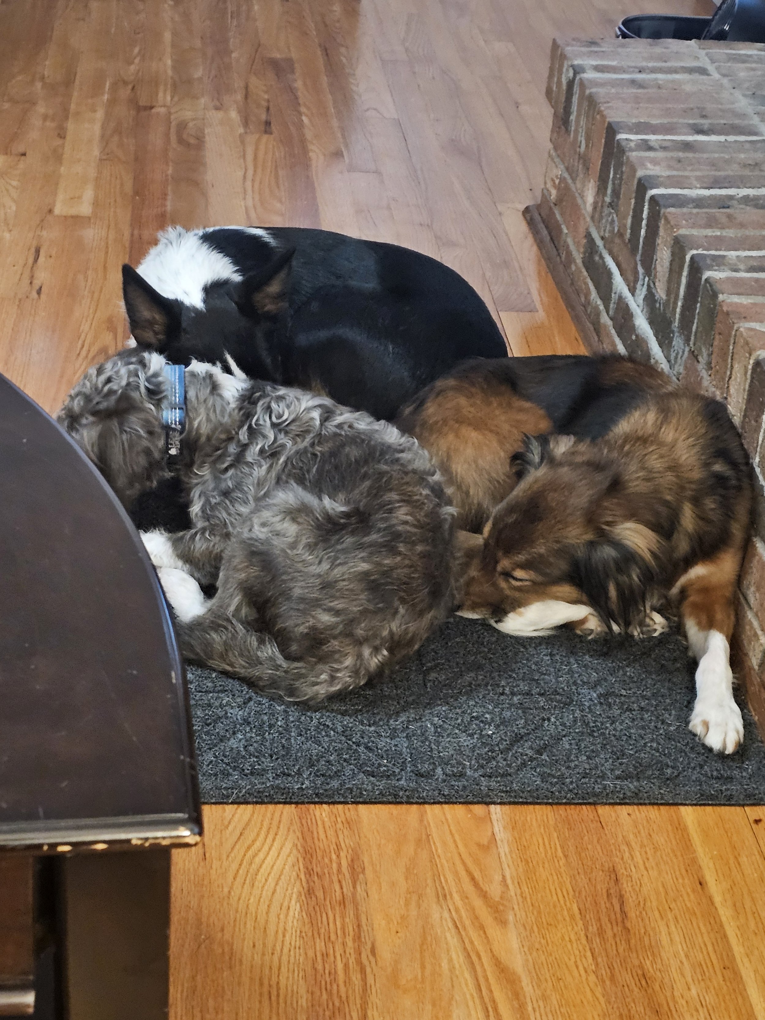 Three dogs cuddled together on a small dark rug beside a brick fireplace and a wooden floor.