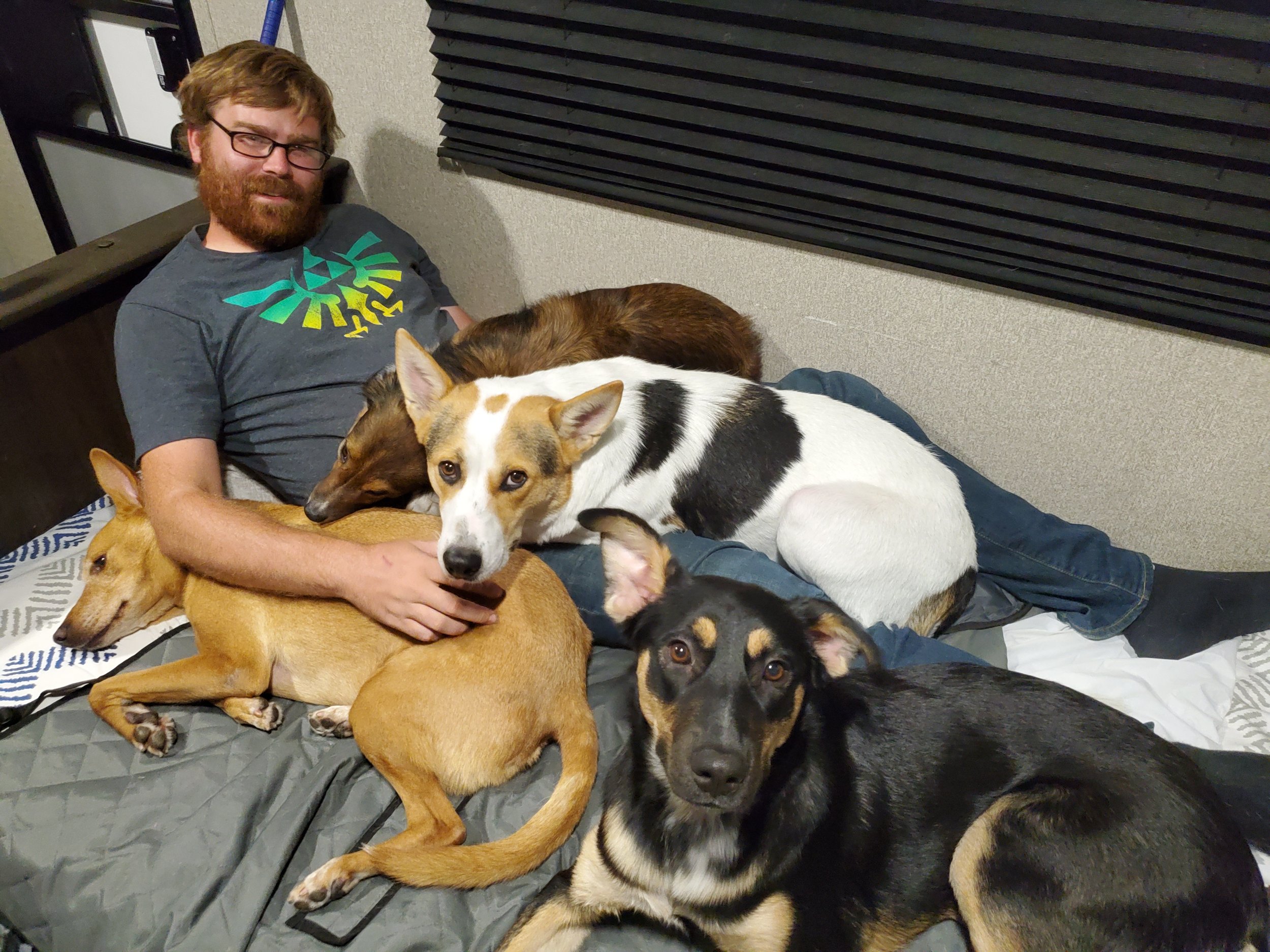 Man with glasses and beard lying on a mattress surrounded by five dogs of various breeds and colors in a room with black acoustic panels.