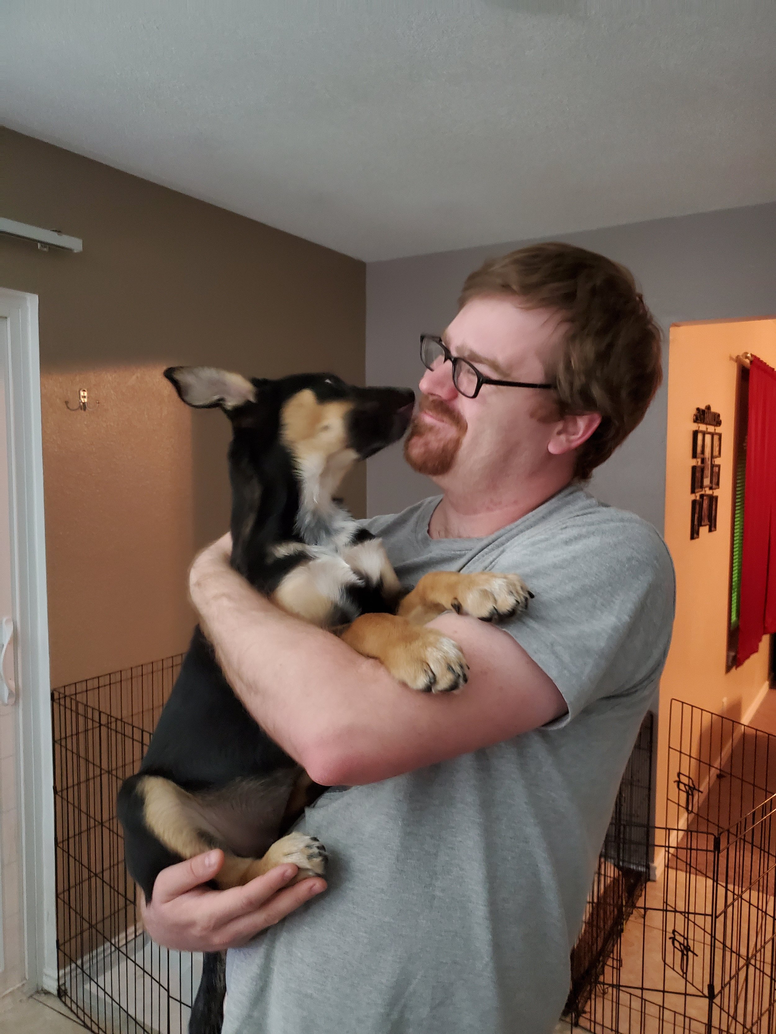 A man with glasses and a beard holding a black and tan puppy, interacting affectionately indoors.