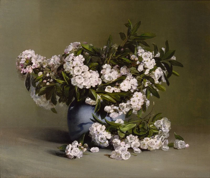 Still Life Open Session