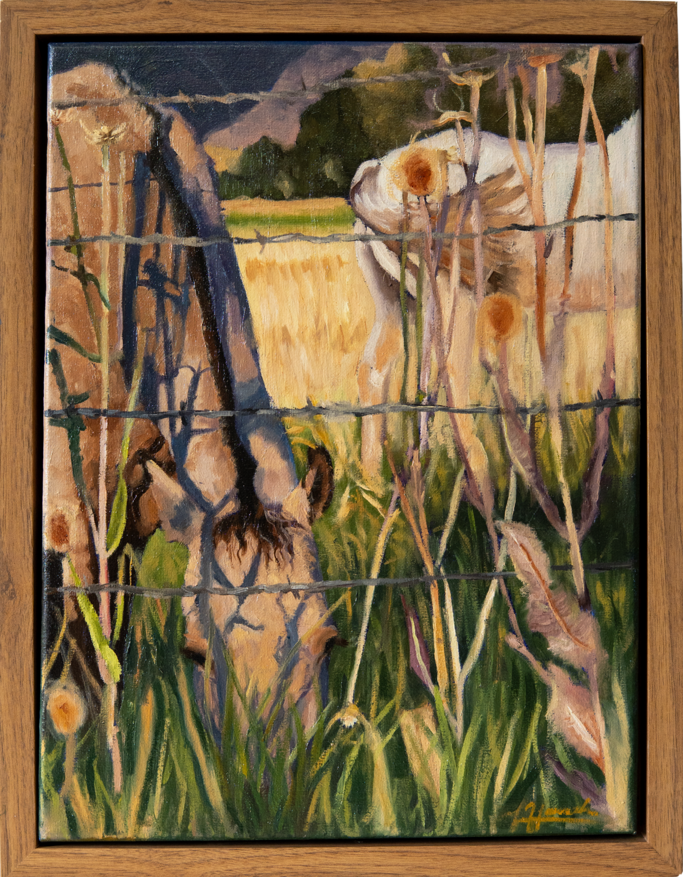 Hannah Weston_Summer Days_Oil Painting.png