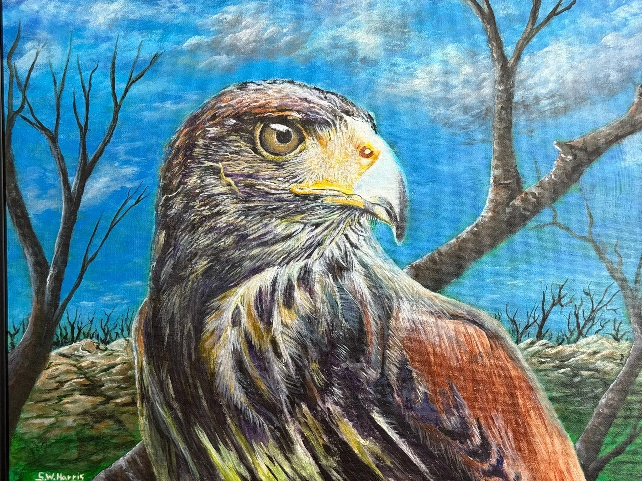 WhatsApp Image 2025-09-16 at 12.44.09 PM (2).jpeg