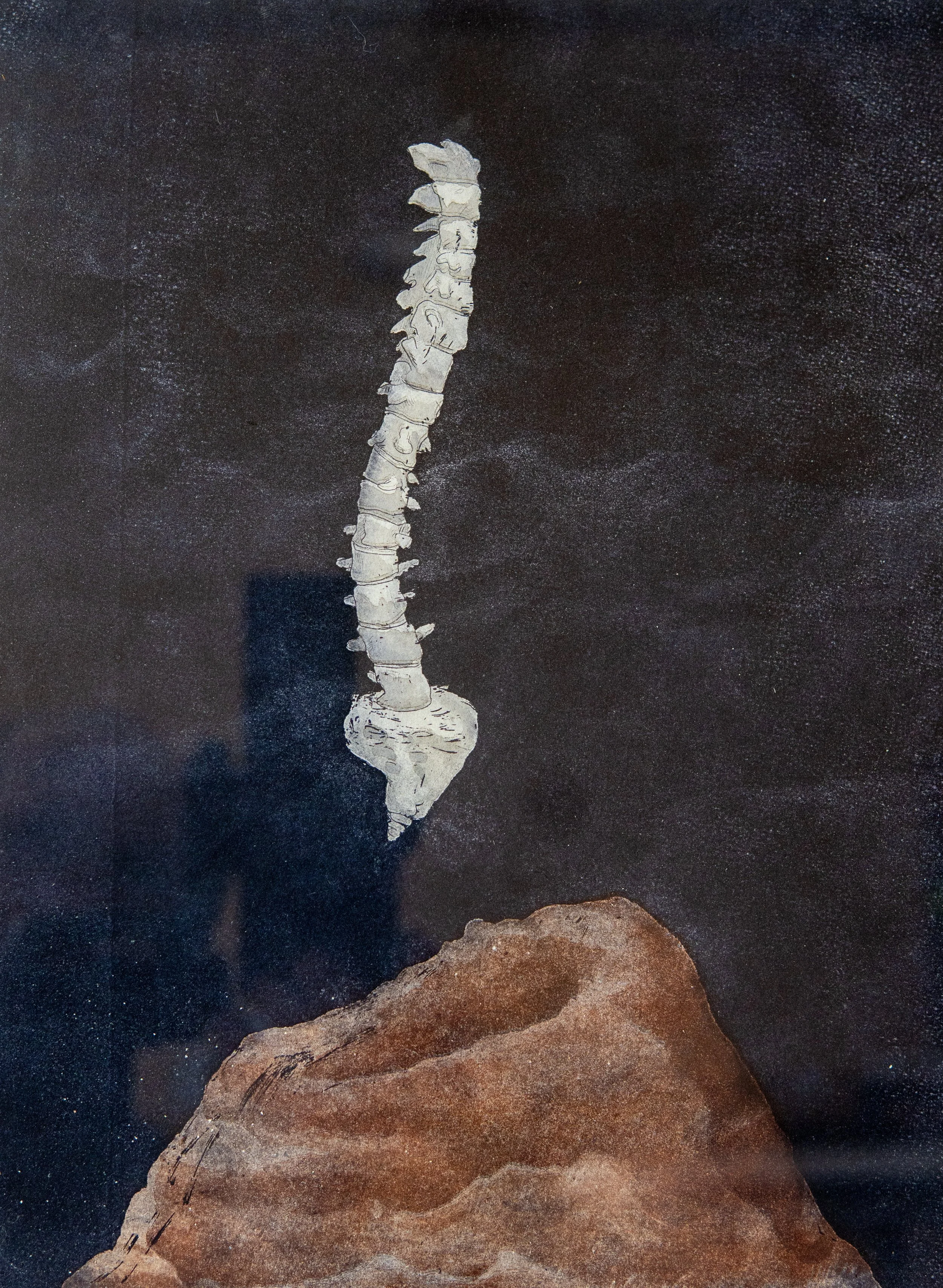 Spine