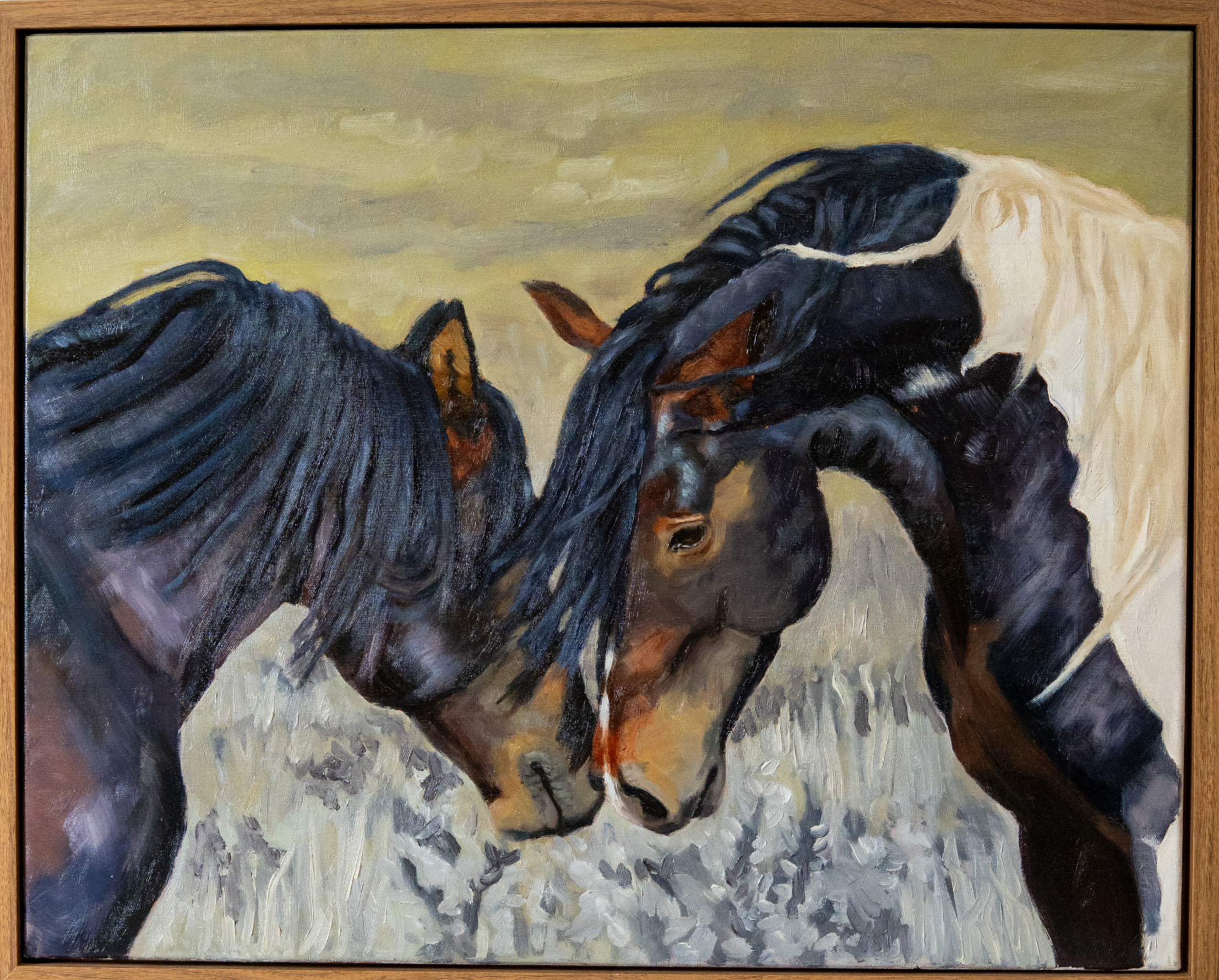 Plains of Tenderness