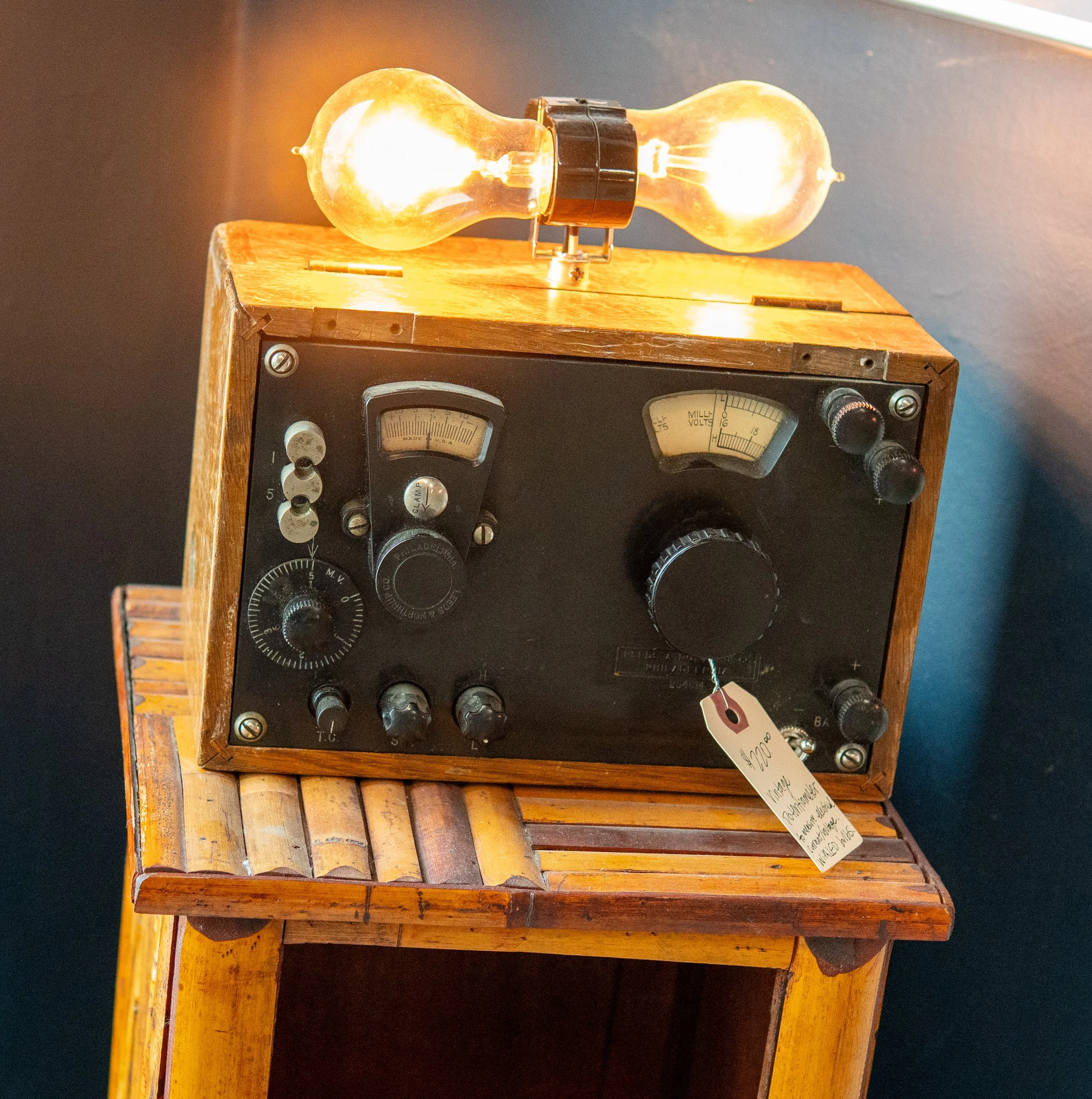 Allyson+Lundberg_Vintage+Potentiometer+Lamp_Lightbulbs+On.png