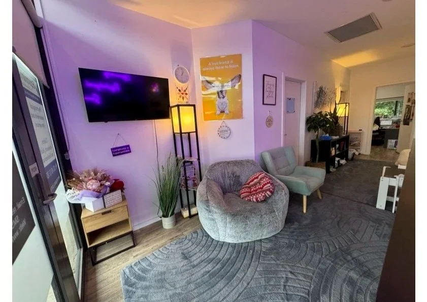 Cozy living room with wall-mounted TV, gray rounded chair with red throw pillow, light teal loveseat, tall lamps, large potted plant, and several framed wall art pieces.