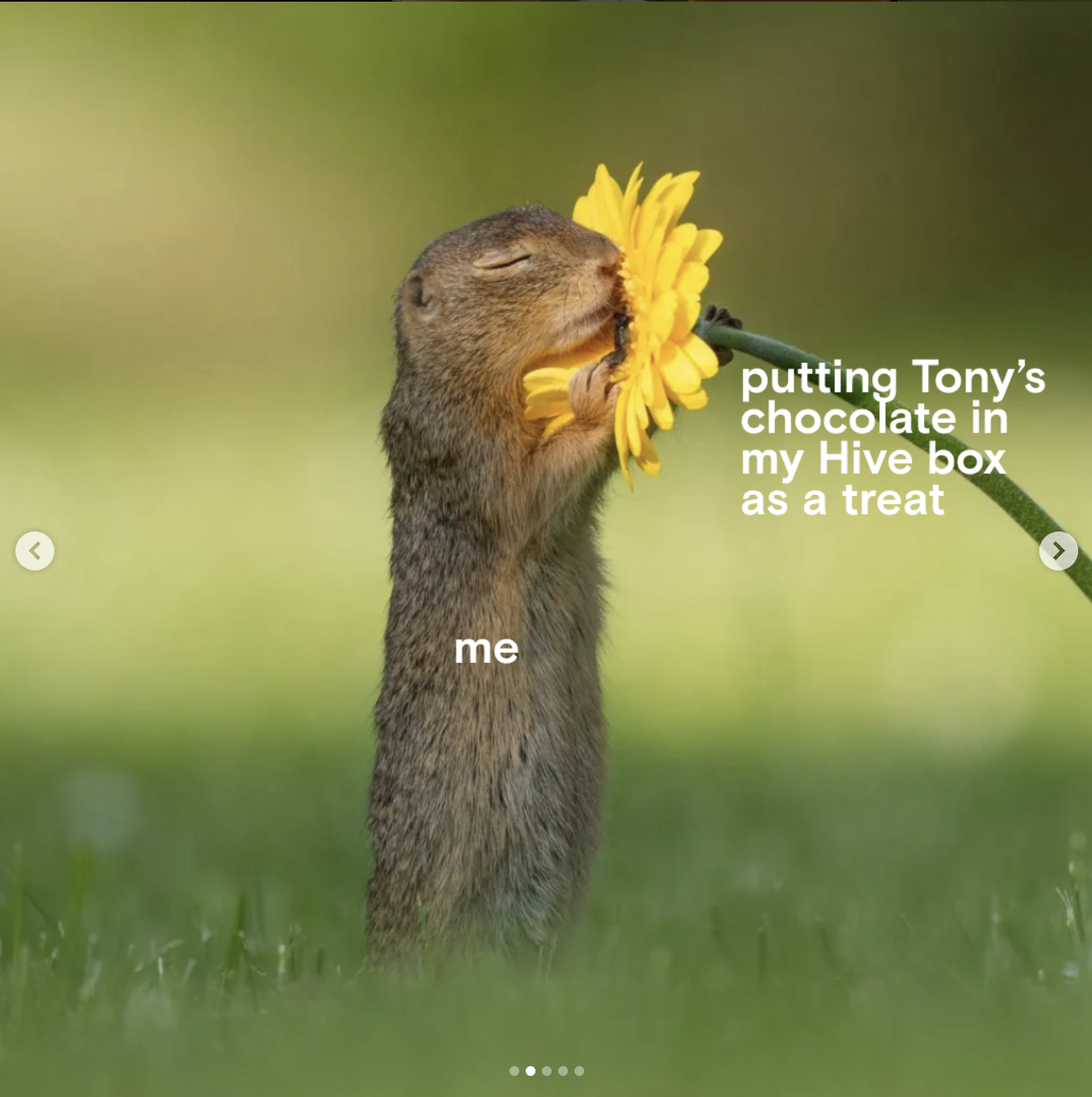 Screenshot 2025-05-22 at 2.40.35 PM.png