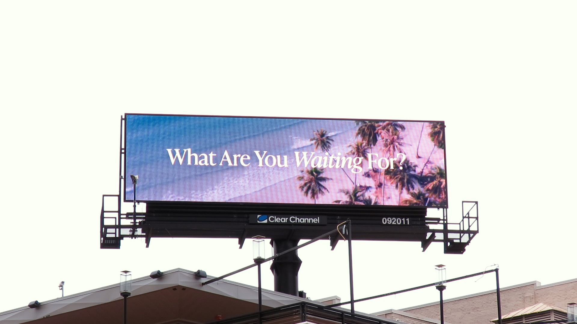 MSP - Clear - 92011 - Close up_1.png