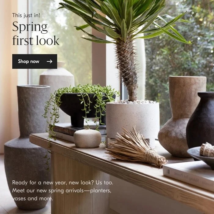 west elm 15.jpg